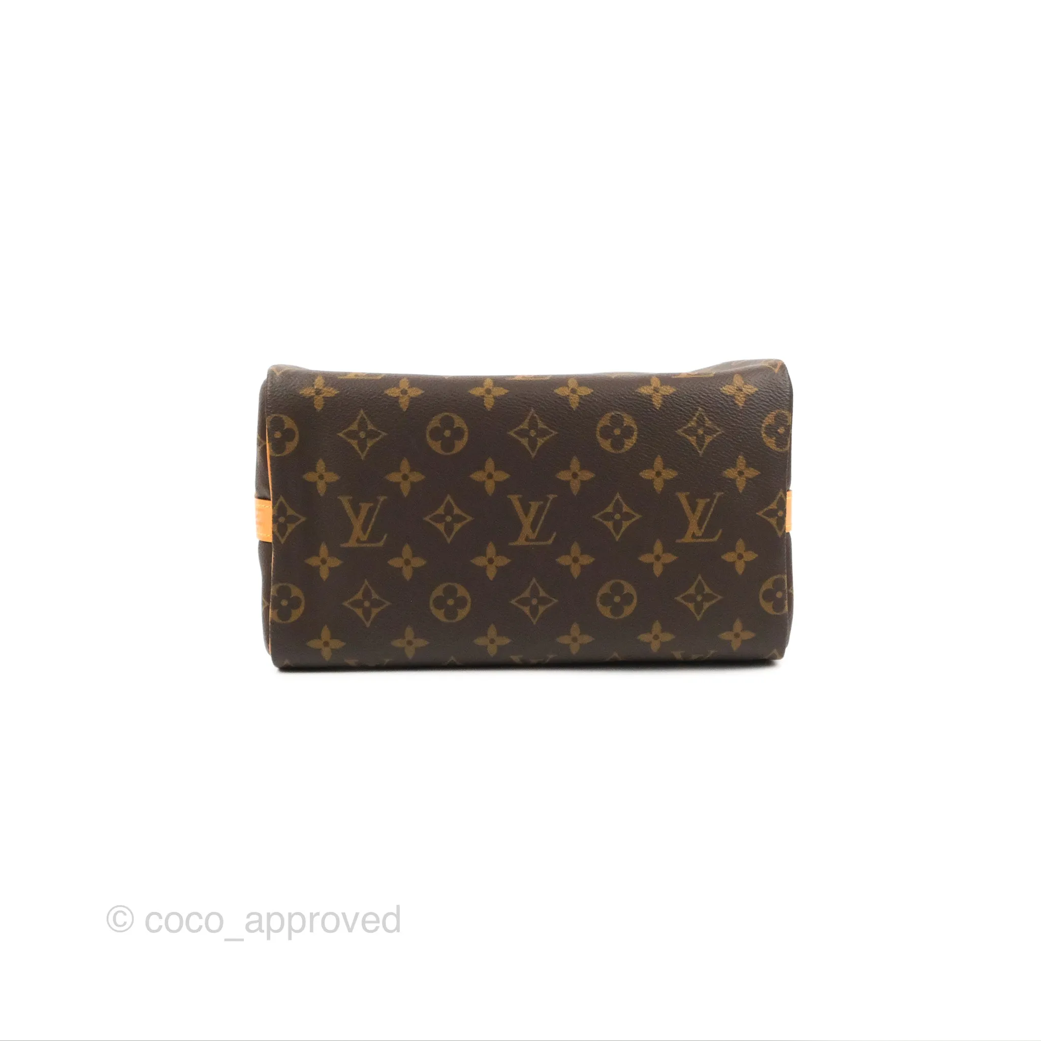 Louis Vuitton Speedy 25 Monogram Canvas