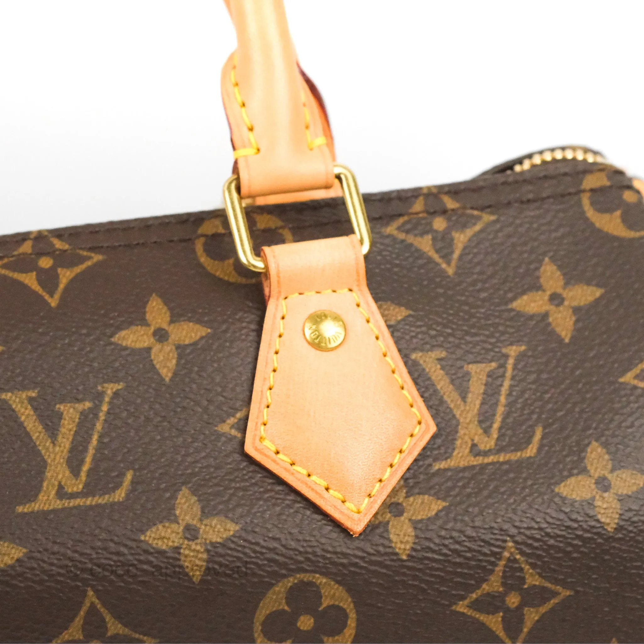 Louis Vuitton Speedy 25 Monogram Canvas