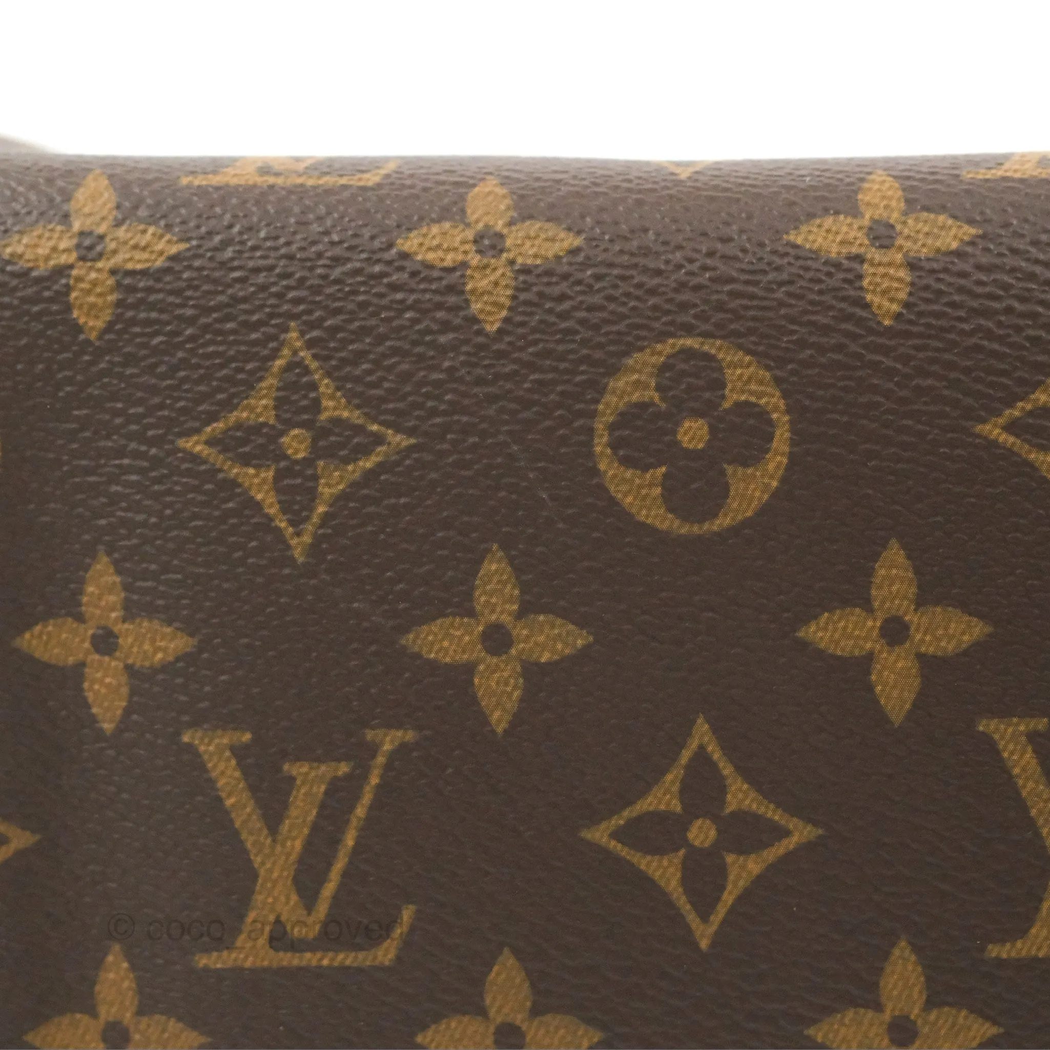 Louis Vuitton Speedy 25 Monogram Canvas