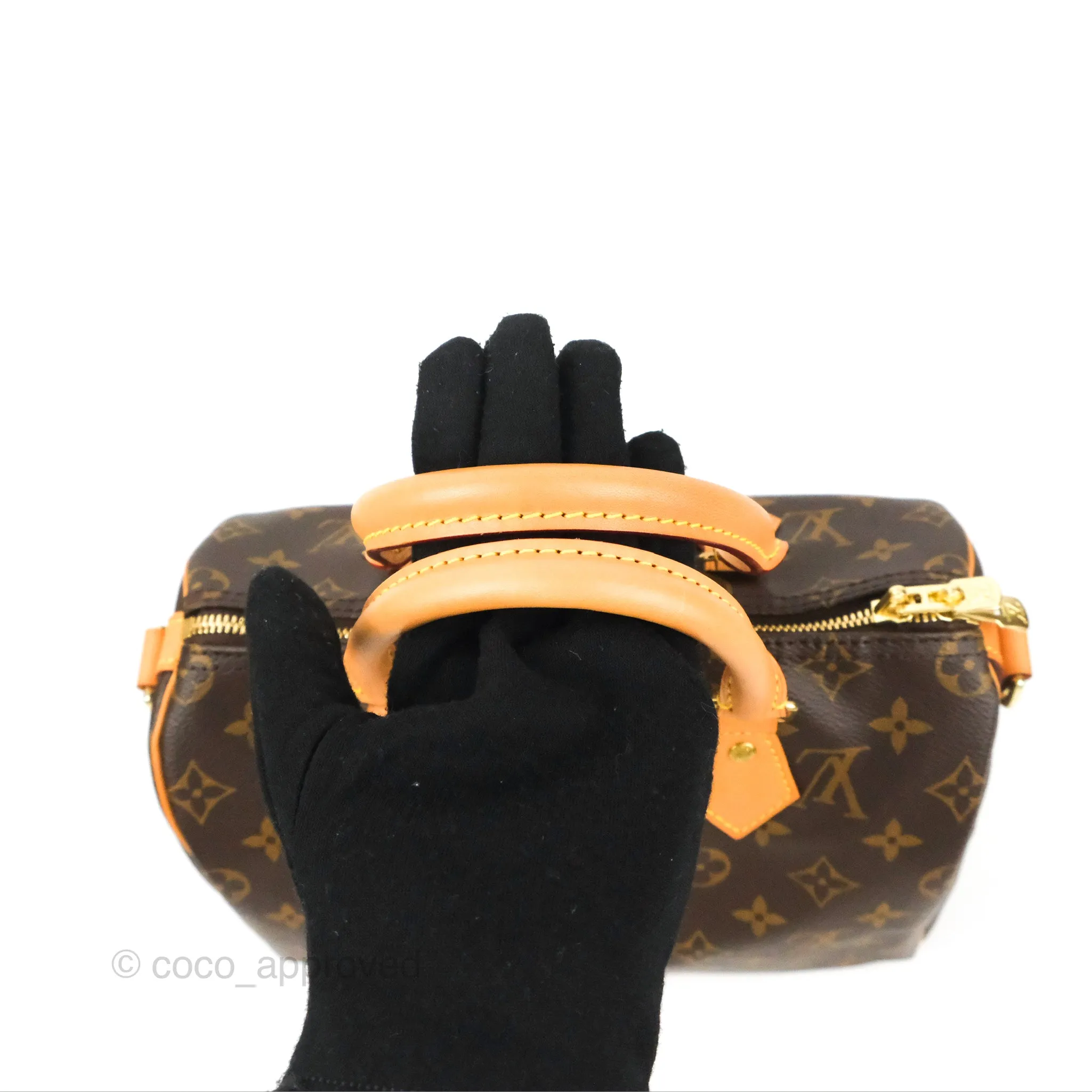 Louis Vuitton Speedy 25 Monogram Canvas