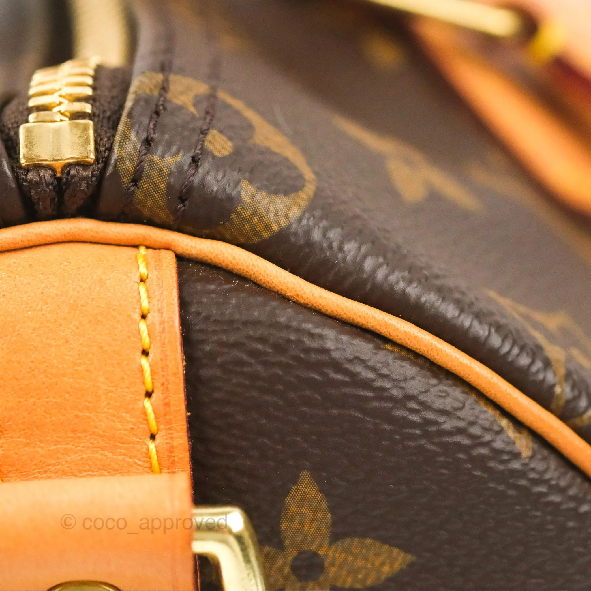 Louis Vuitton Speedy 25 Monogram Canvas