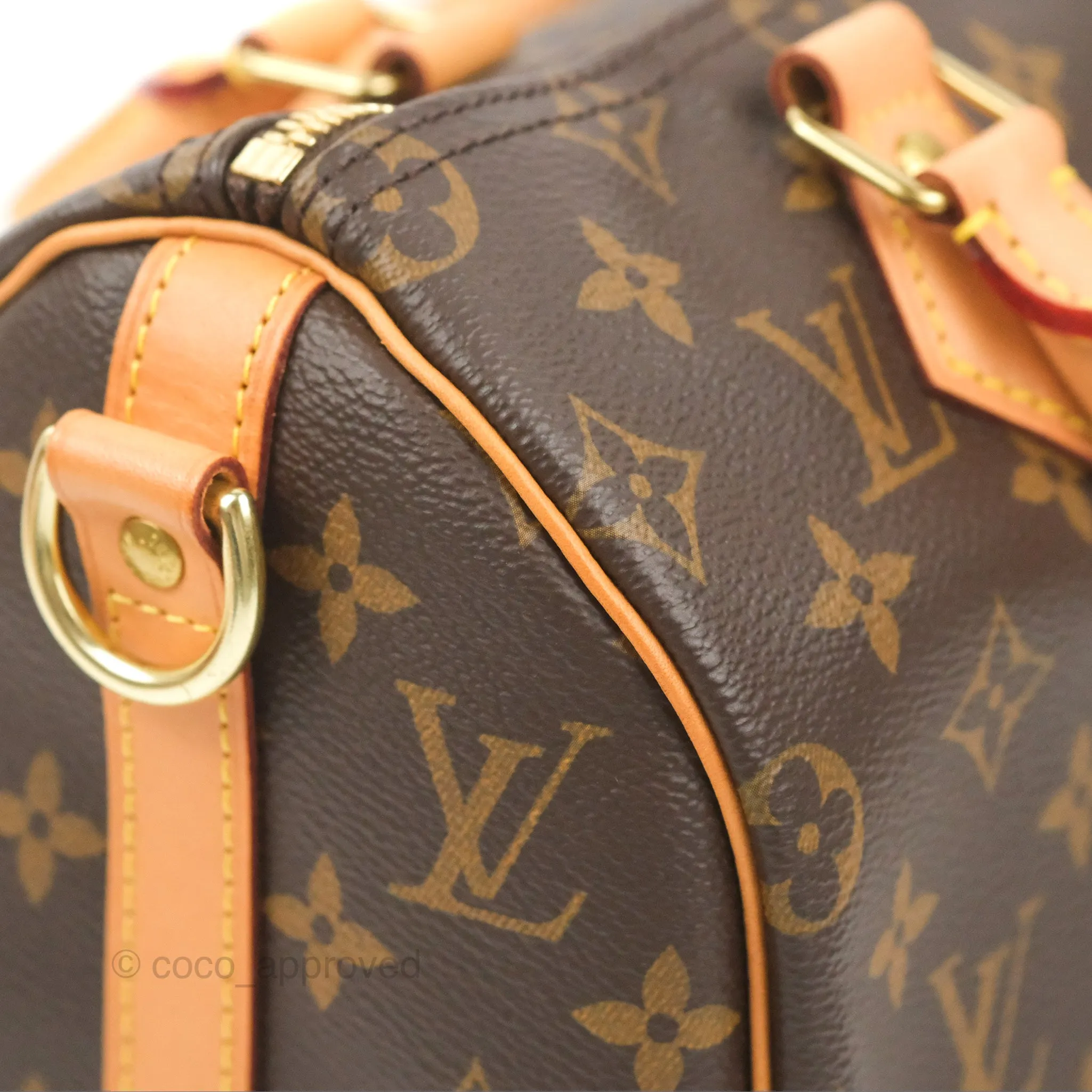Louis Vuitton Speedy 25 Monogram Canvas