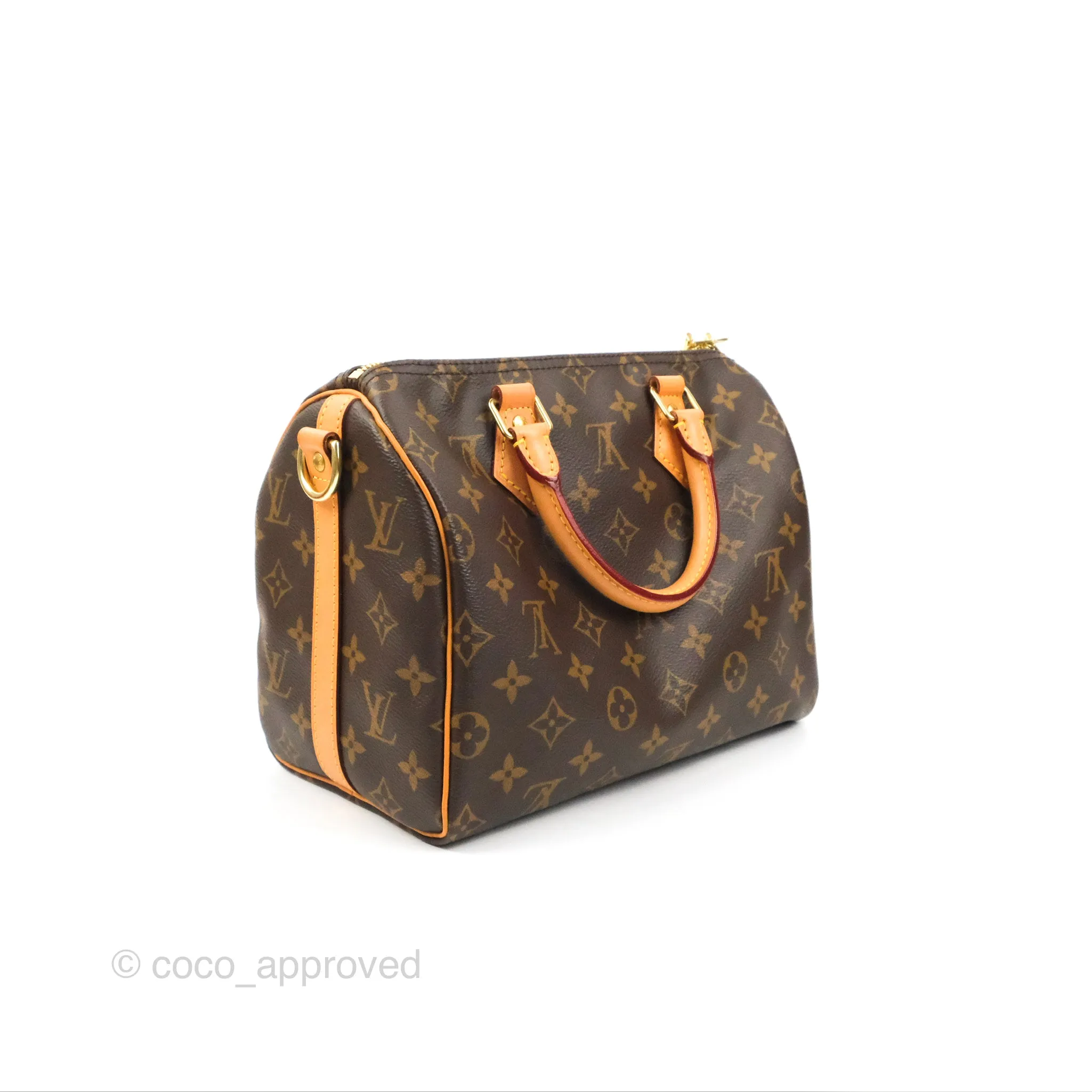 Louis Vuitton Speedy 25 Monogram Canvas