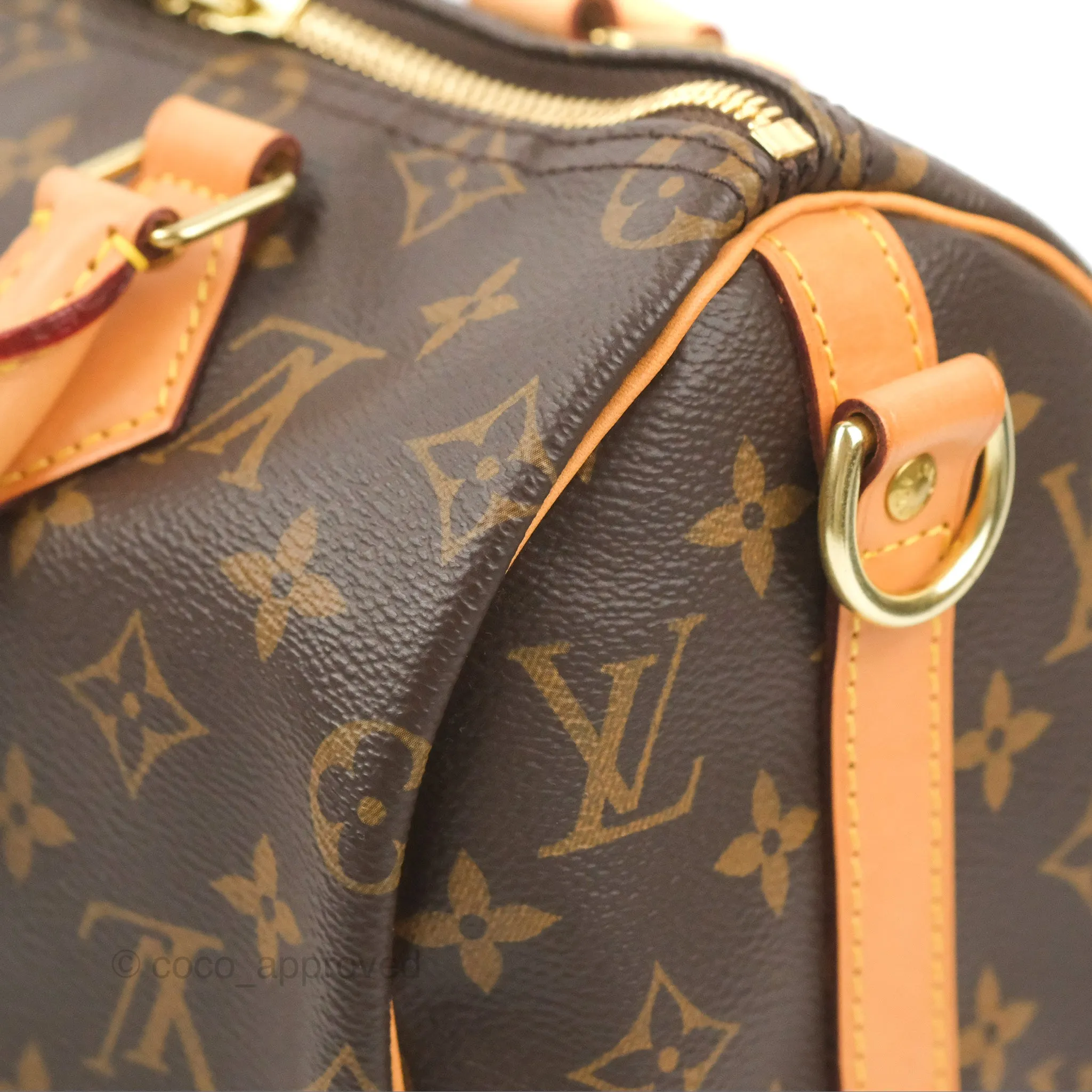 Louis Vuitton Speedy 25 Monogram Canvas