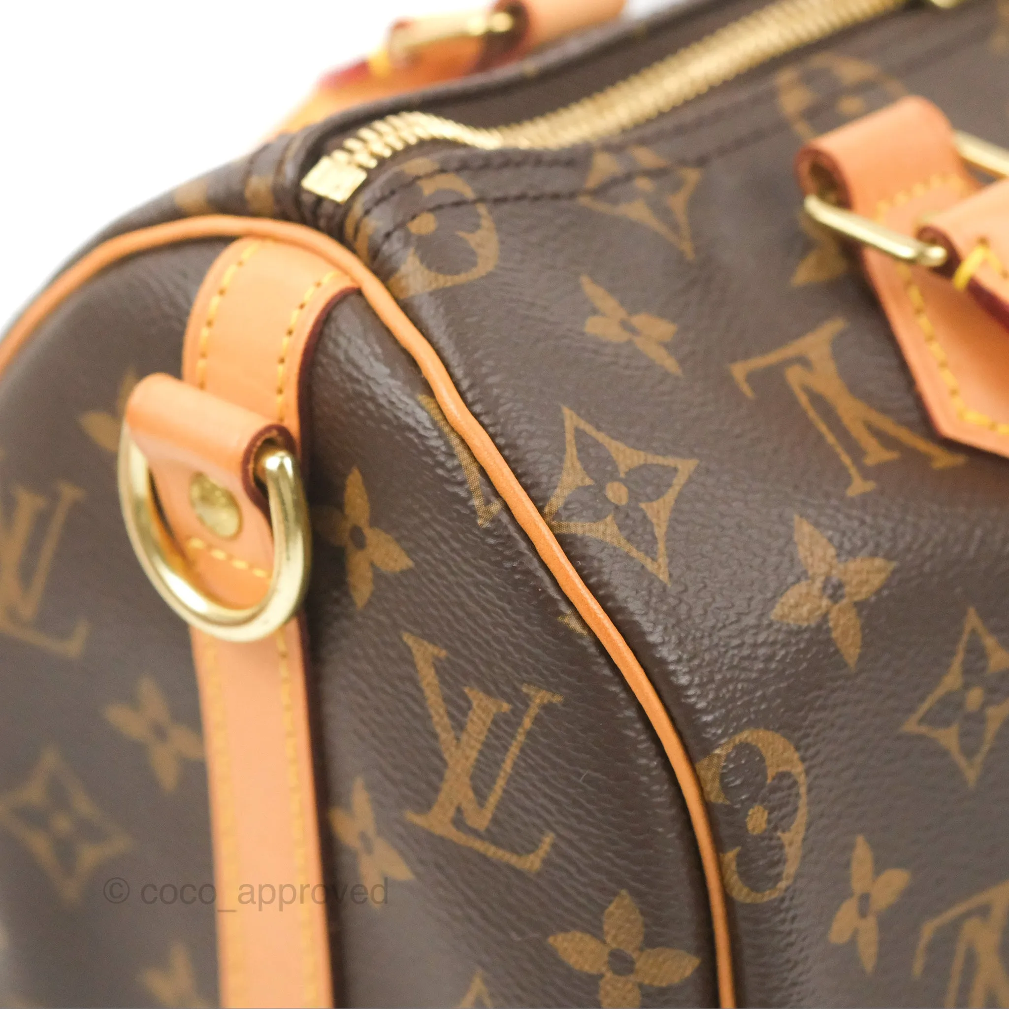 Louis Vuitton Speedy 25 Monogram Canvas