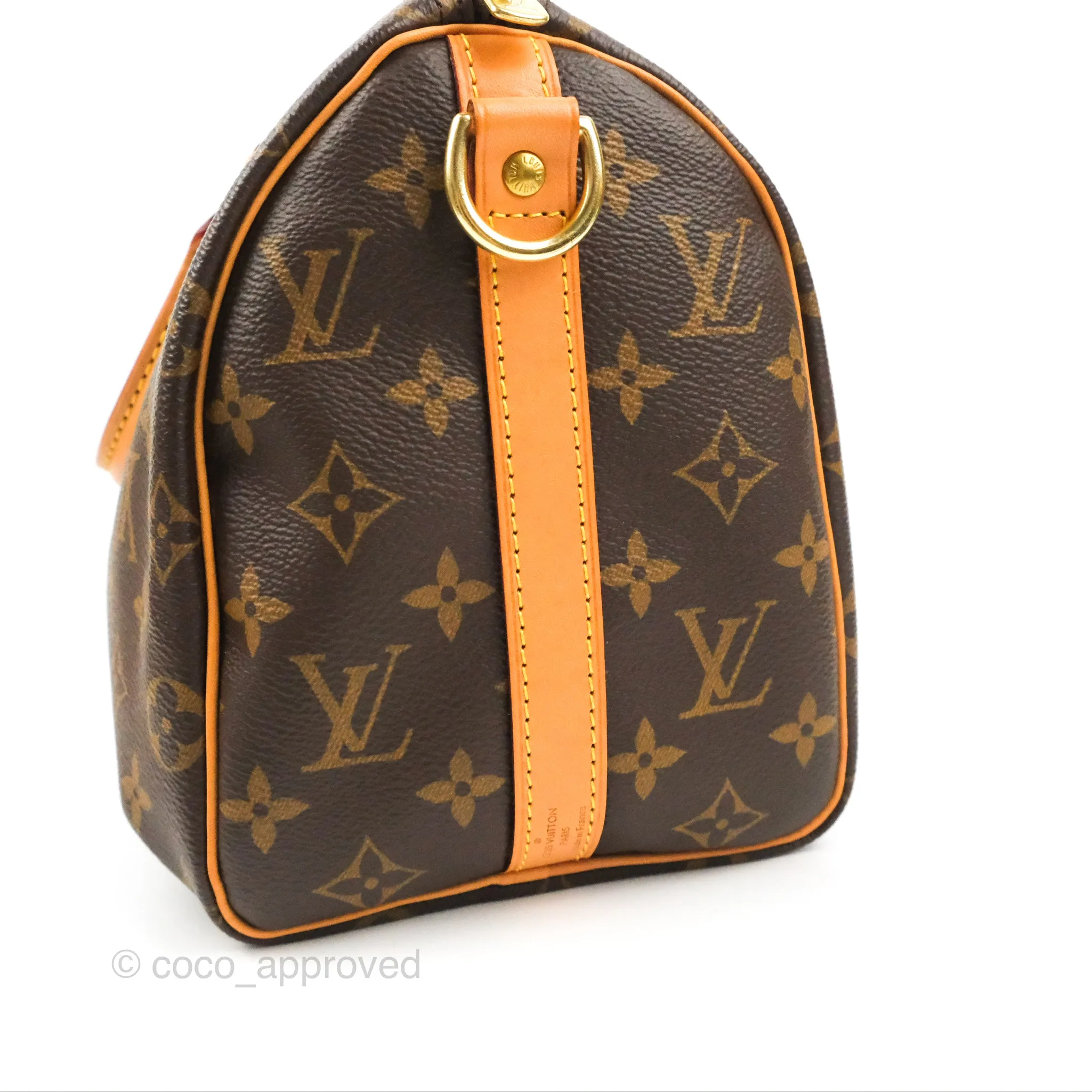 Louis Vuitton Speedy 25 Monogram Canvas