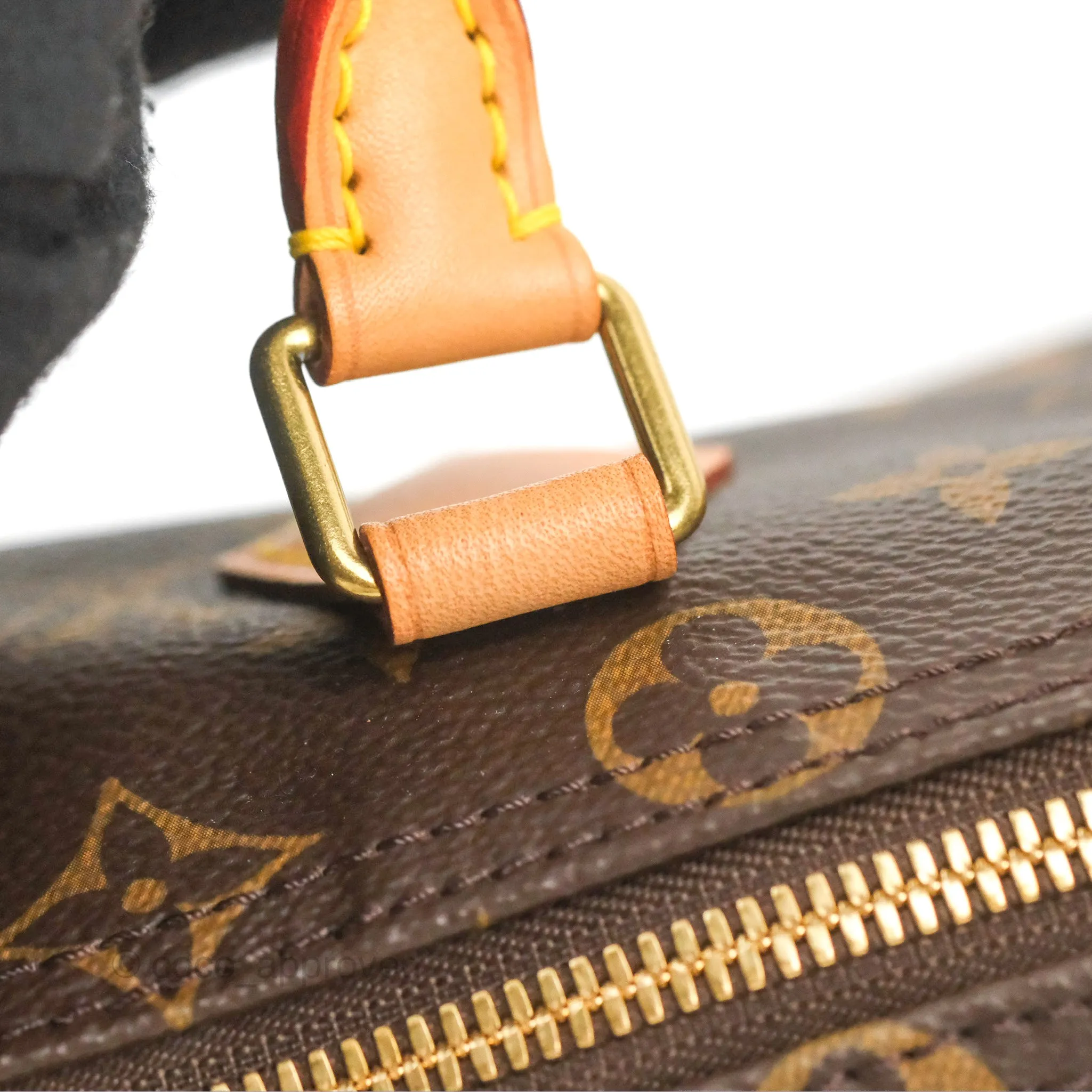 Louis Vuitton Speedy 25 Monogram Canvas