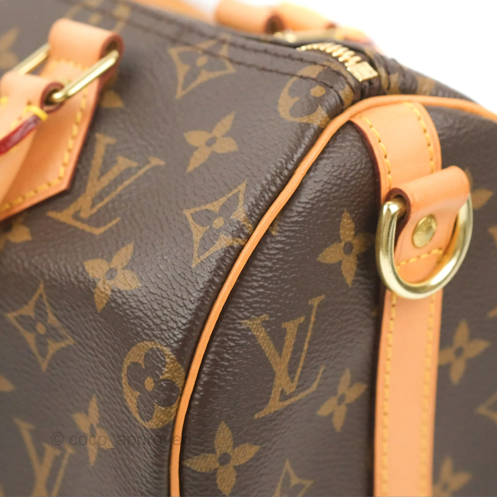 Louis Vuitton Speedy 25 Monogram Canvas