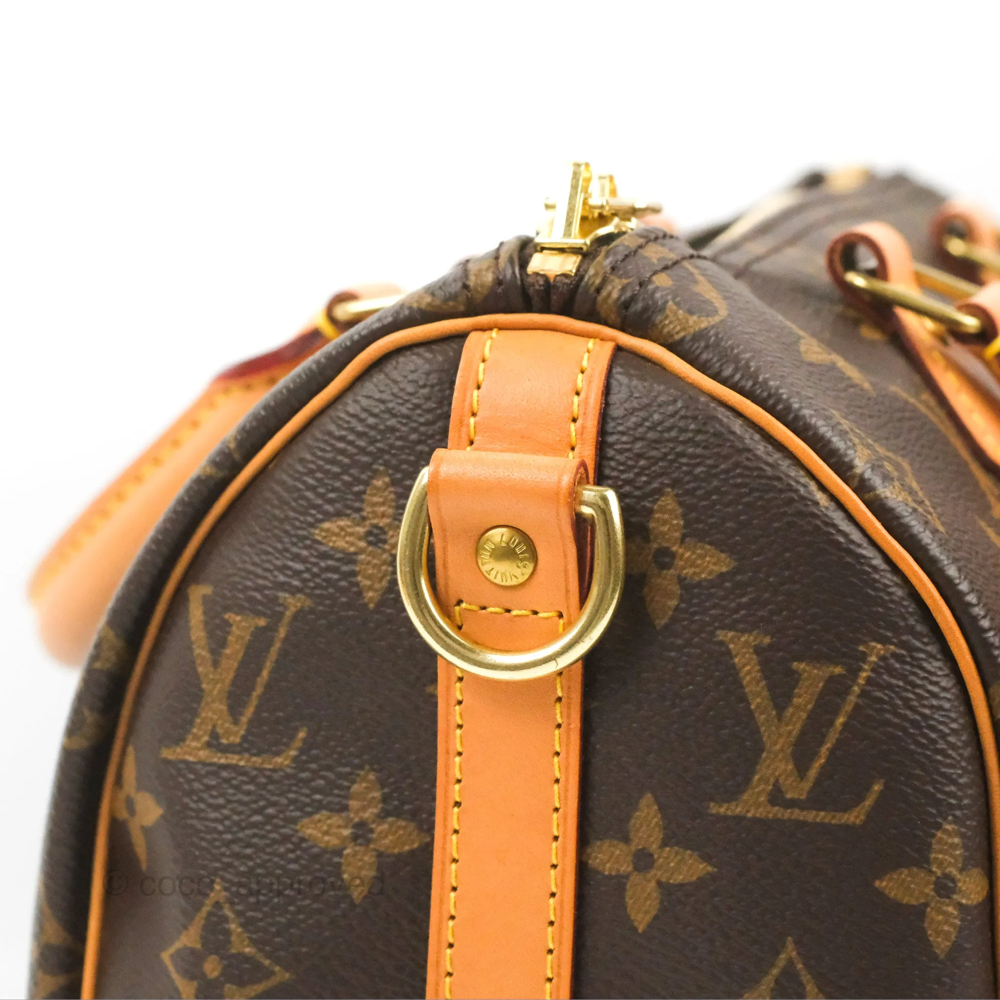 Louis Vuitton Speedy 25 Monogram Canvas