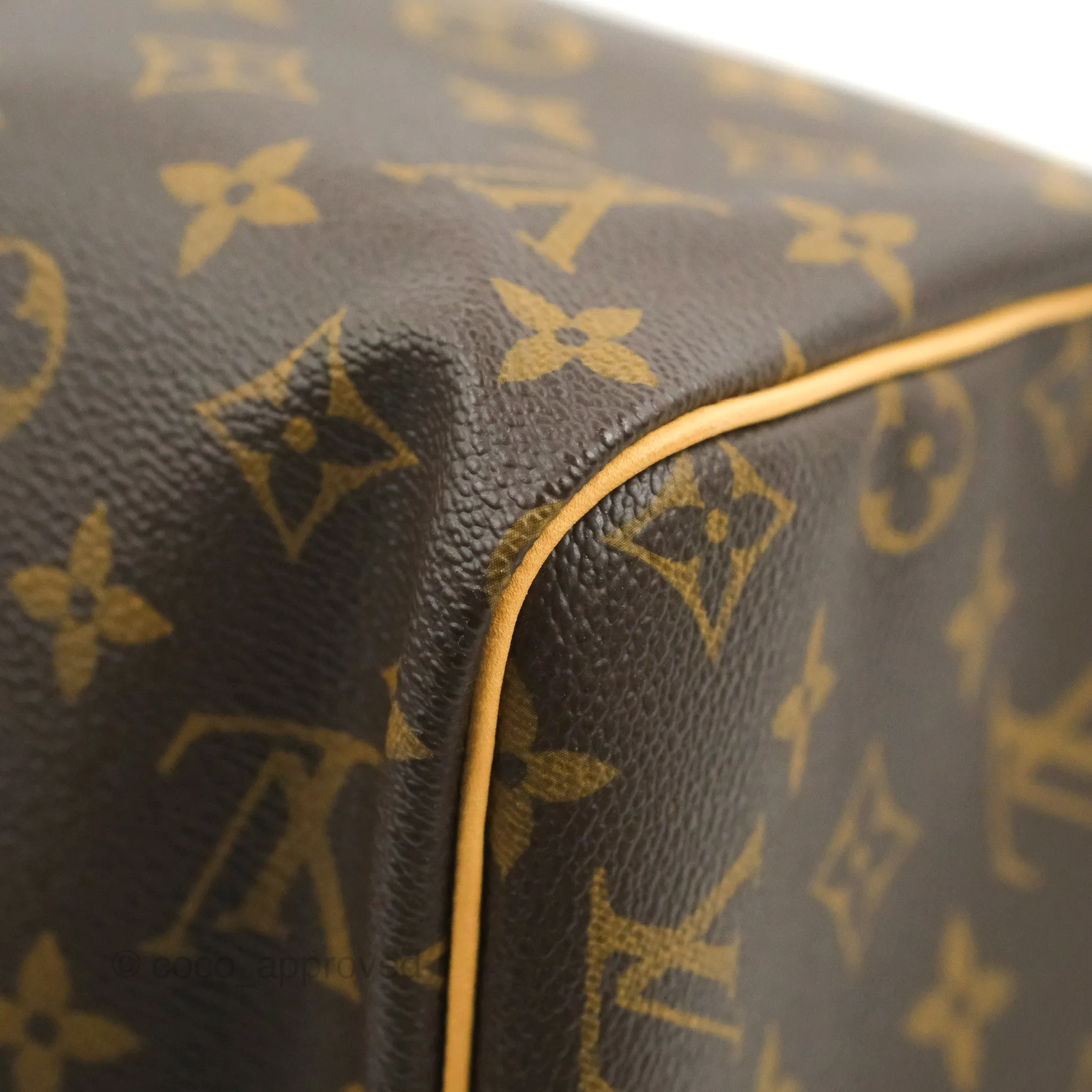 Louis Vuitton Speedy 30 Monogram Canvas