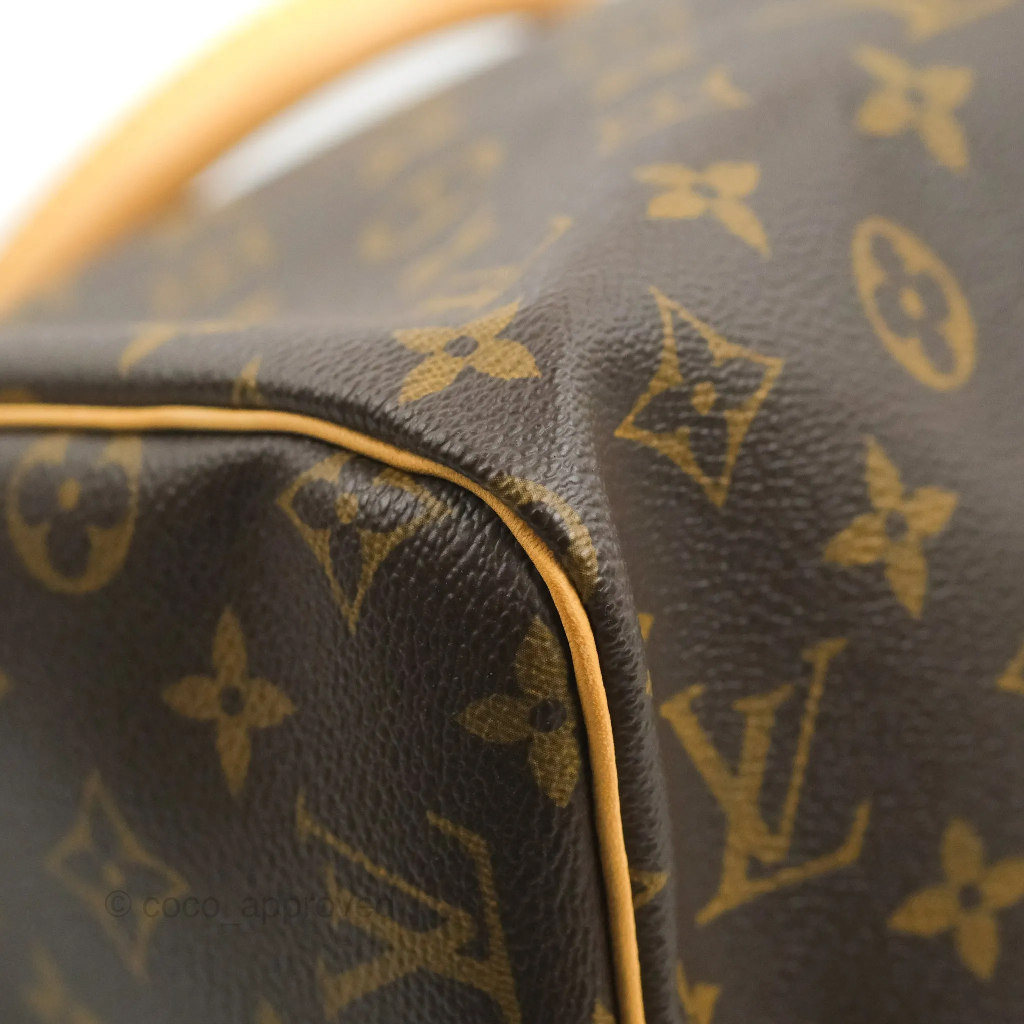 Louis Vuitton Speedy 30 Monogram Canvas