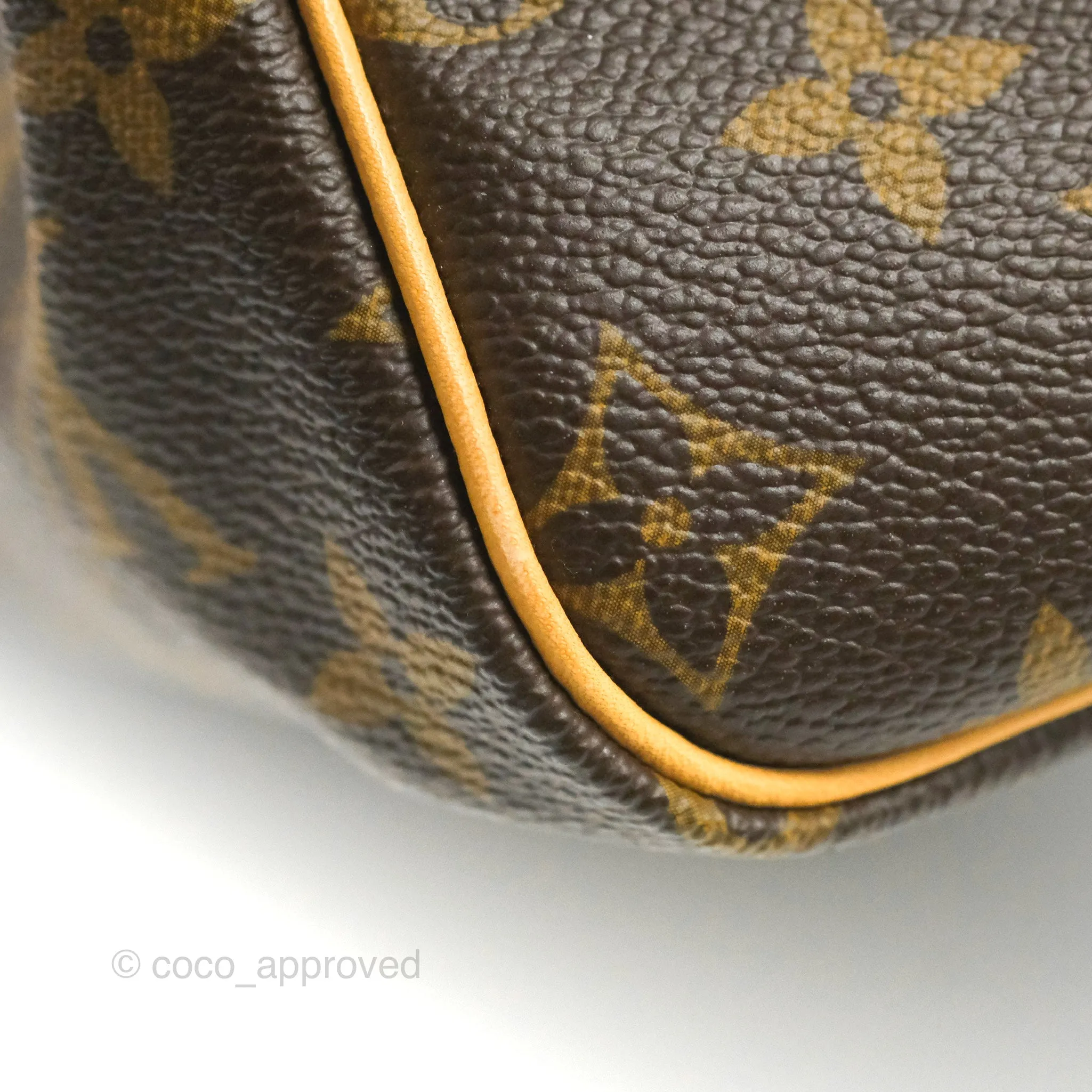 Louis Vuitton Speedy 30 Monogram Canvas