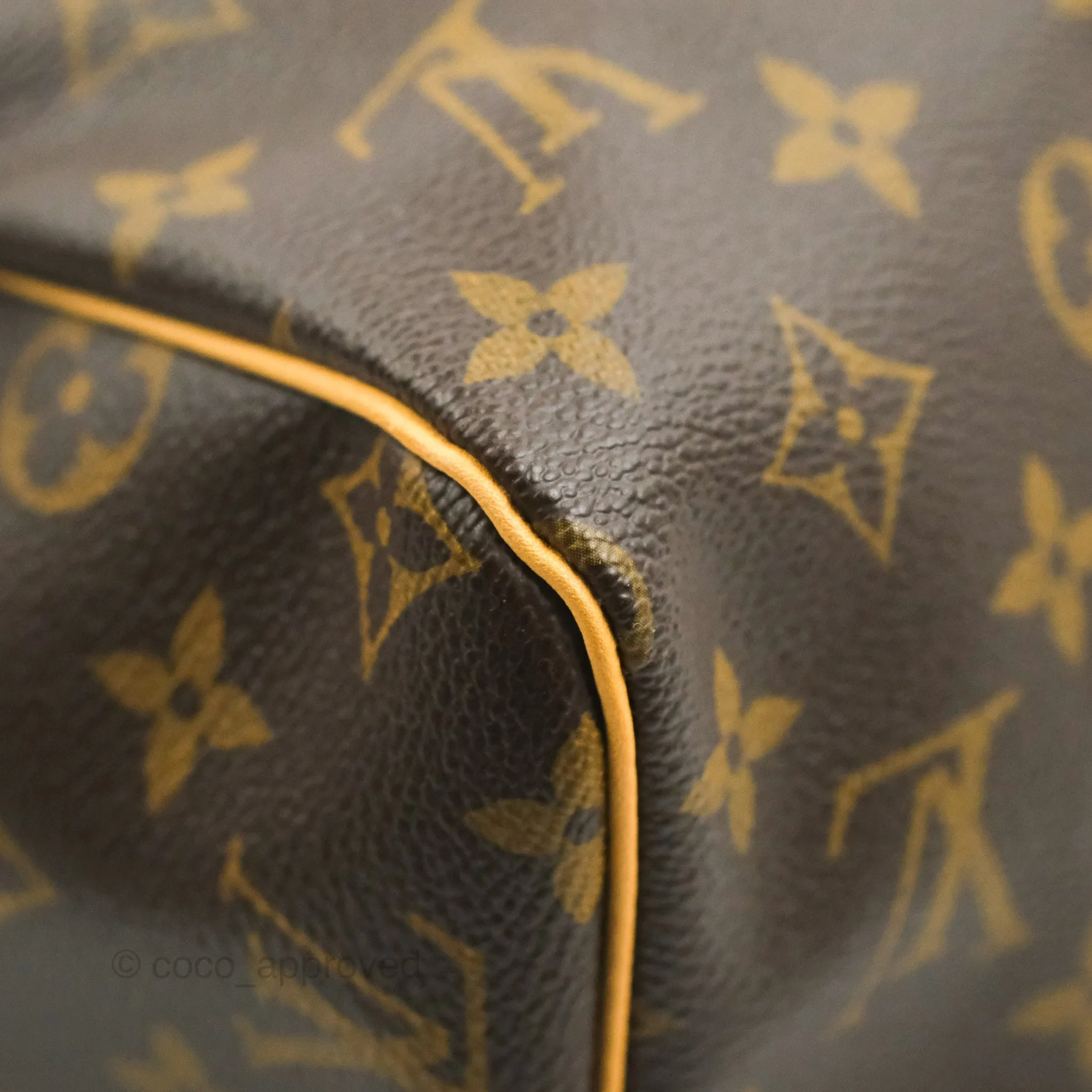 Louis Vuitton Speedy 30 Monogram Canvas
