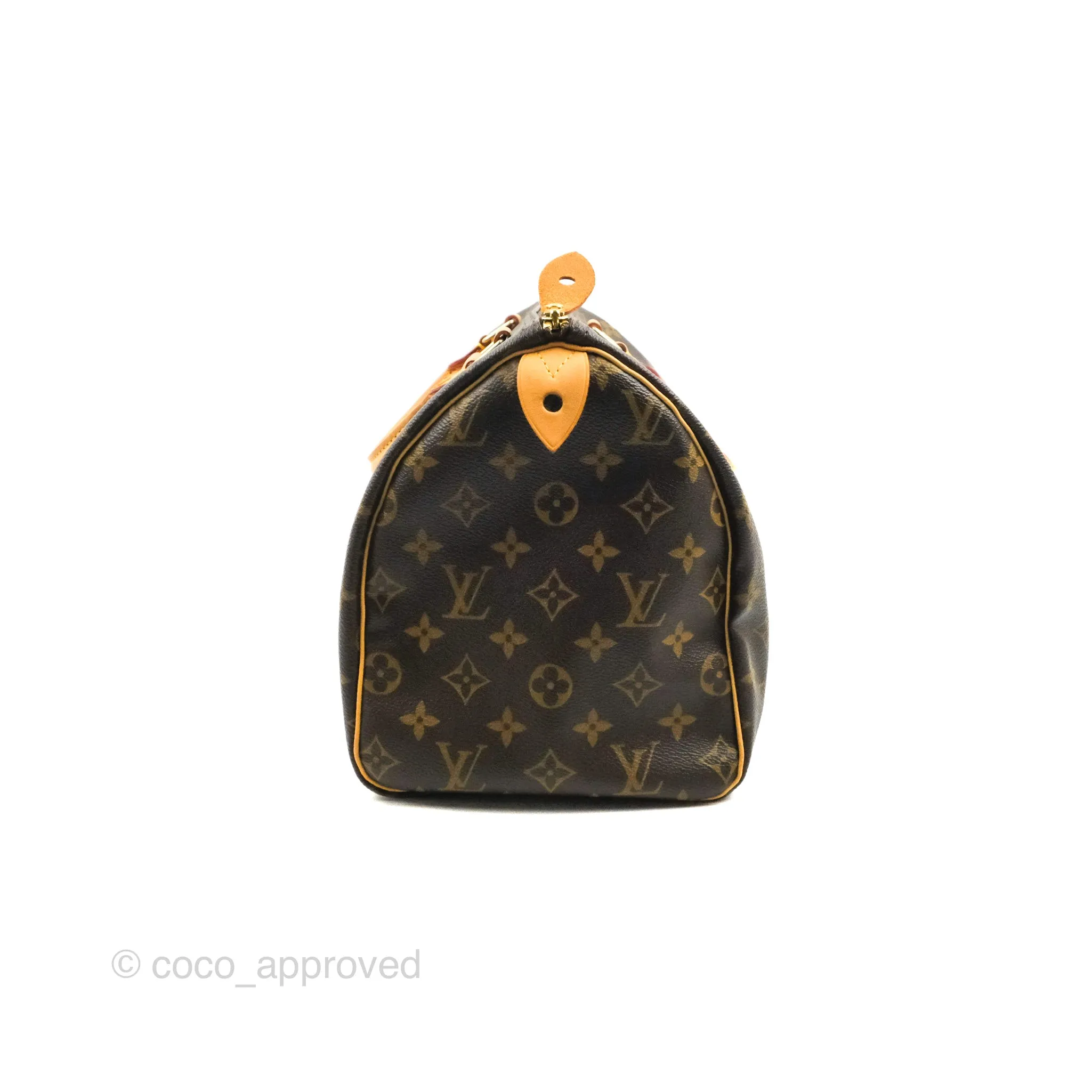 Louis Vuitton Speedy 30 Monogram Canvas