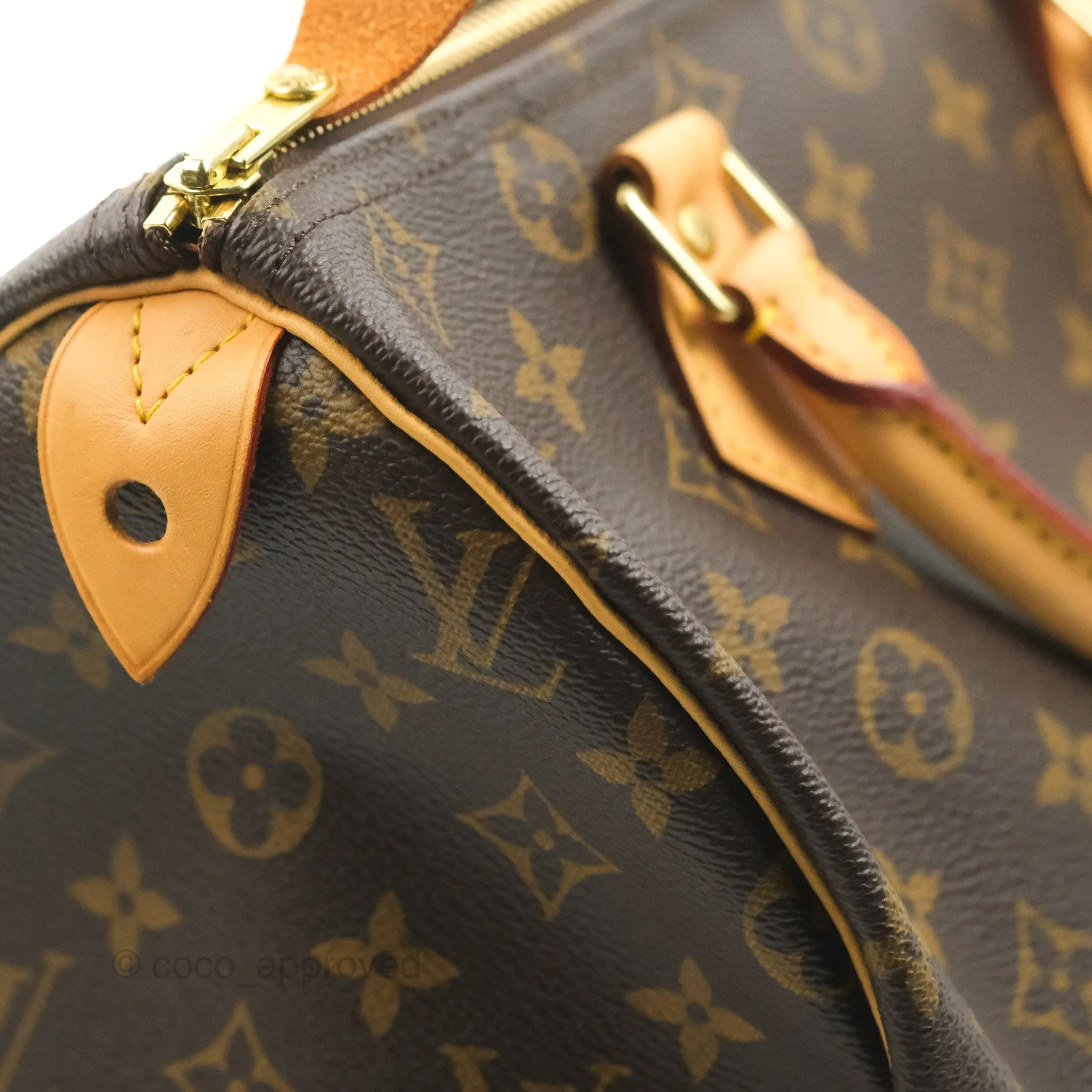 Louis Vuitton Speedy 30 Monogram Canvas