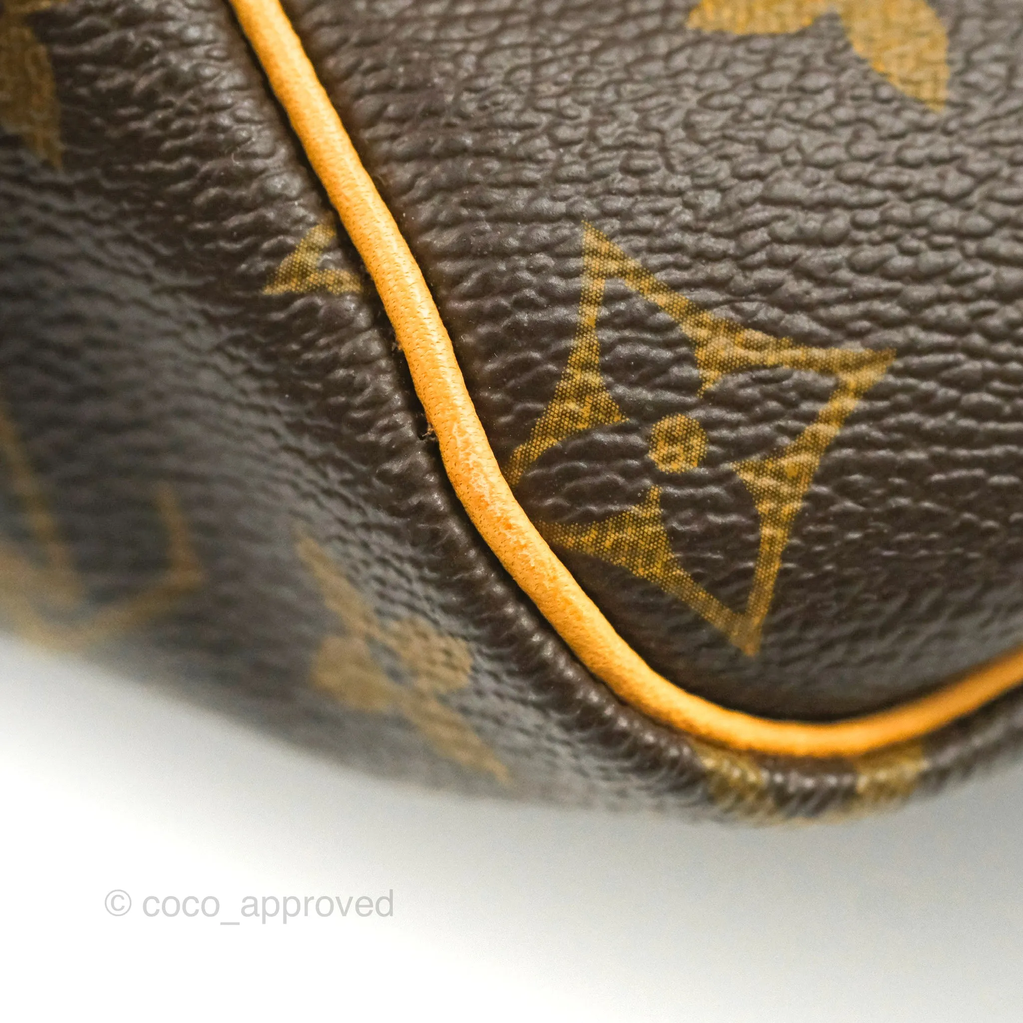 Louis Vuitton Speedy 30 Monogram Canvas