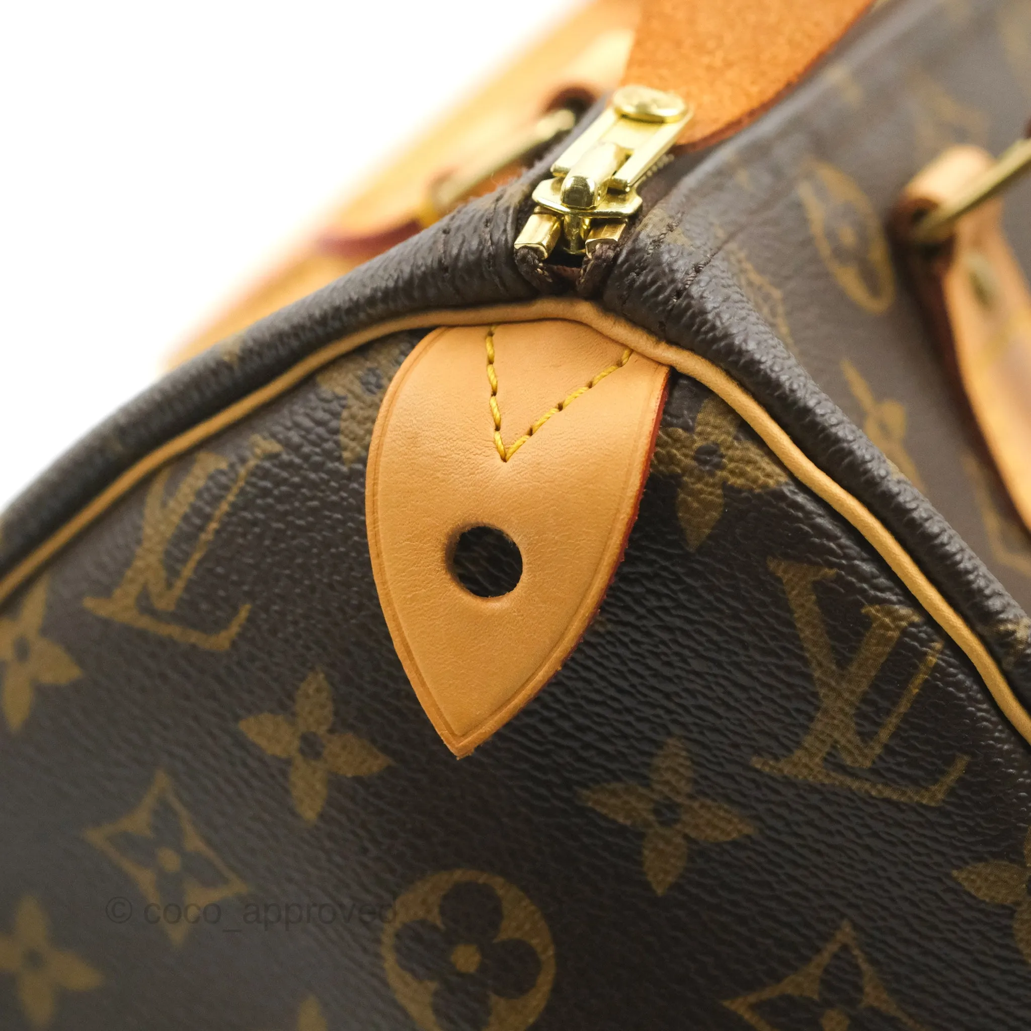 Louis Vuitton Speedy 30 Monogram Canvas