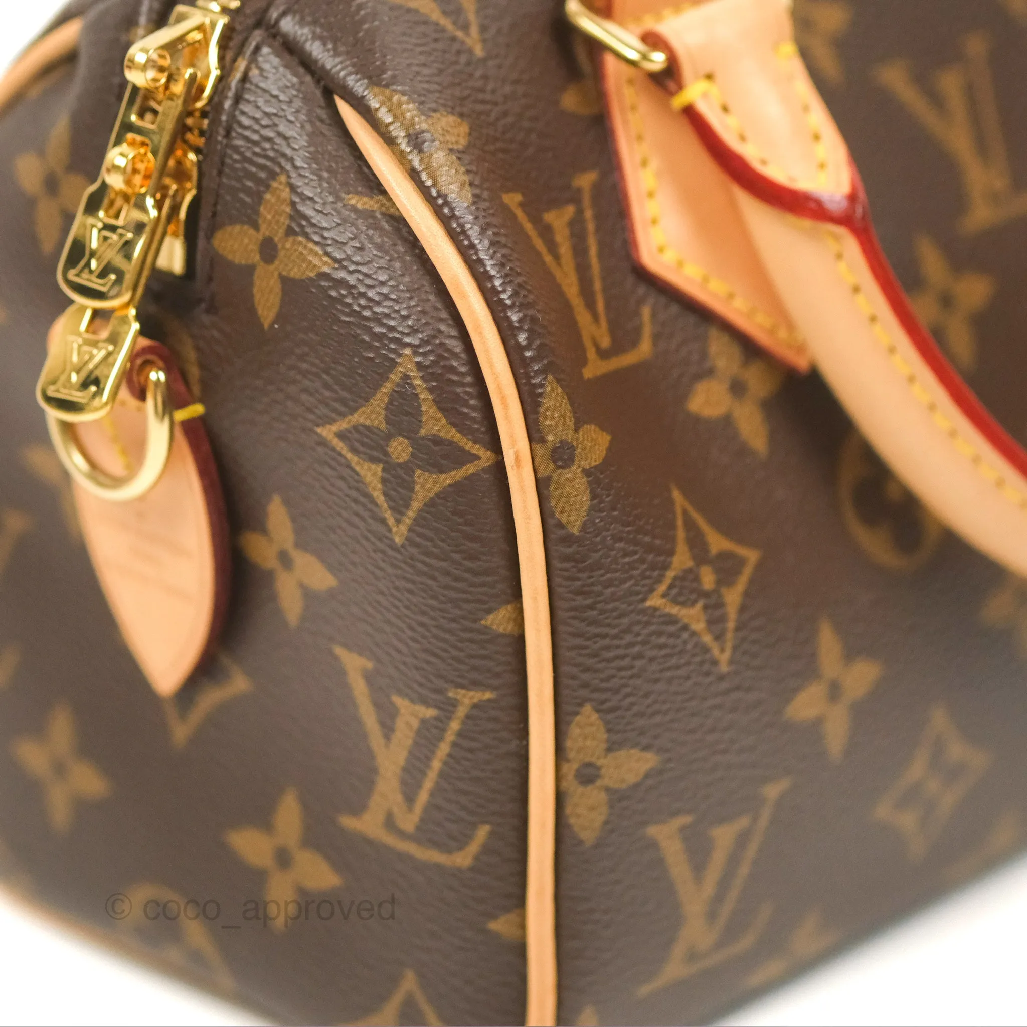 Louis Vuitton Speedy Bandoulire 20 Monogram