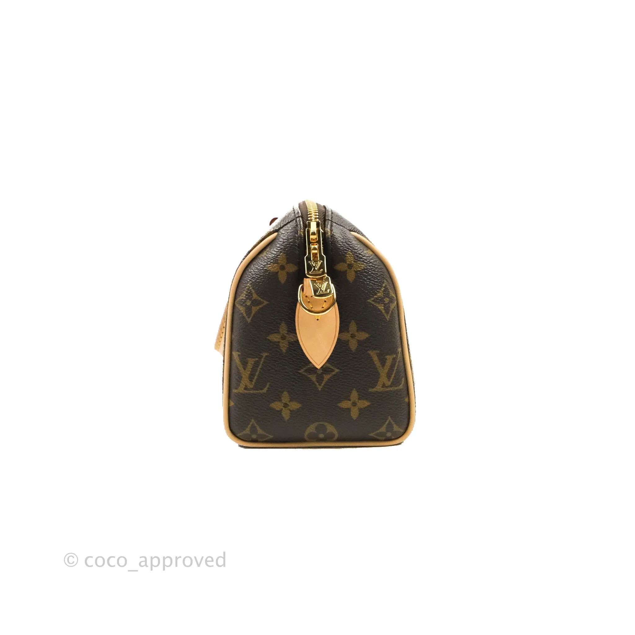 Louis Vuitton Speedy Bandoulire 20 Monogram