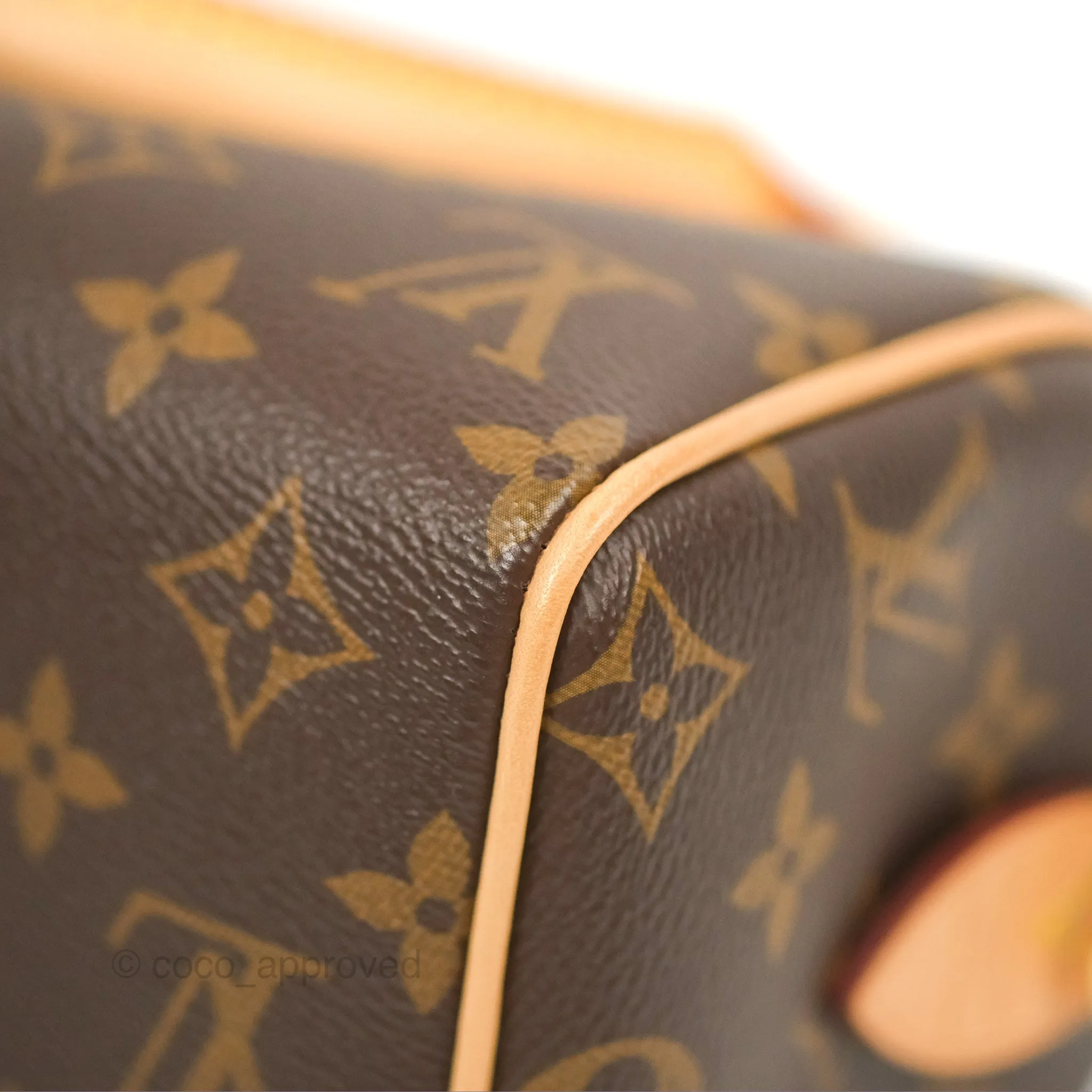 Louis Vuitton Speedy Bandoulire 20 Monogram