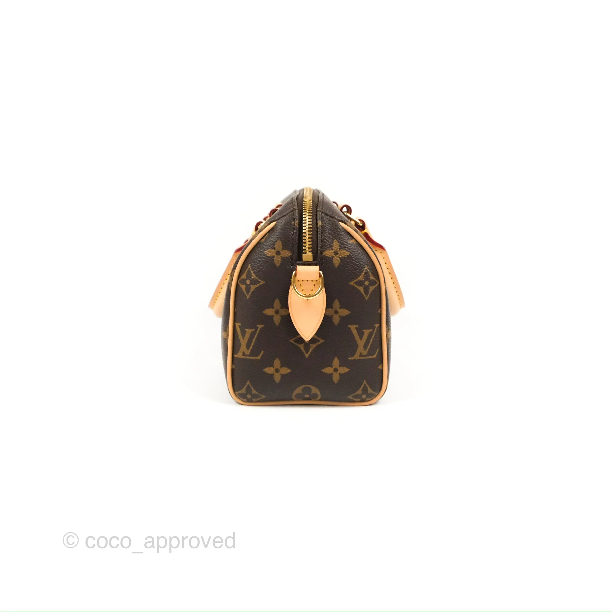 Louis Vuitton Speedy Bandoulire 20 Monogram