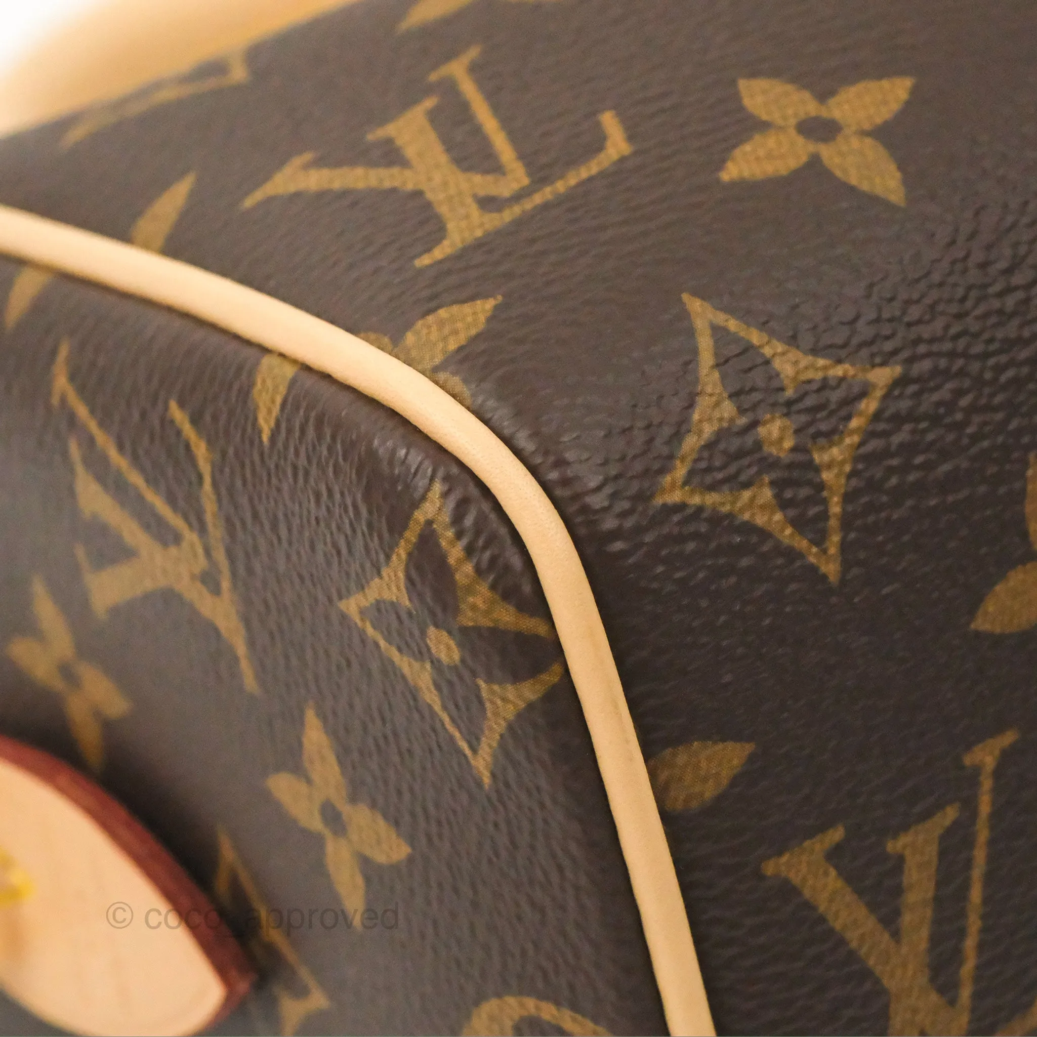 Louis Vuitton Speedy Bandoulire 20 Monogram