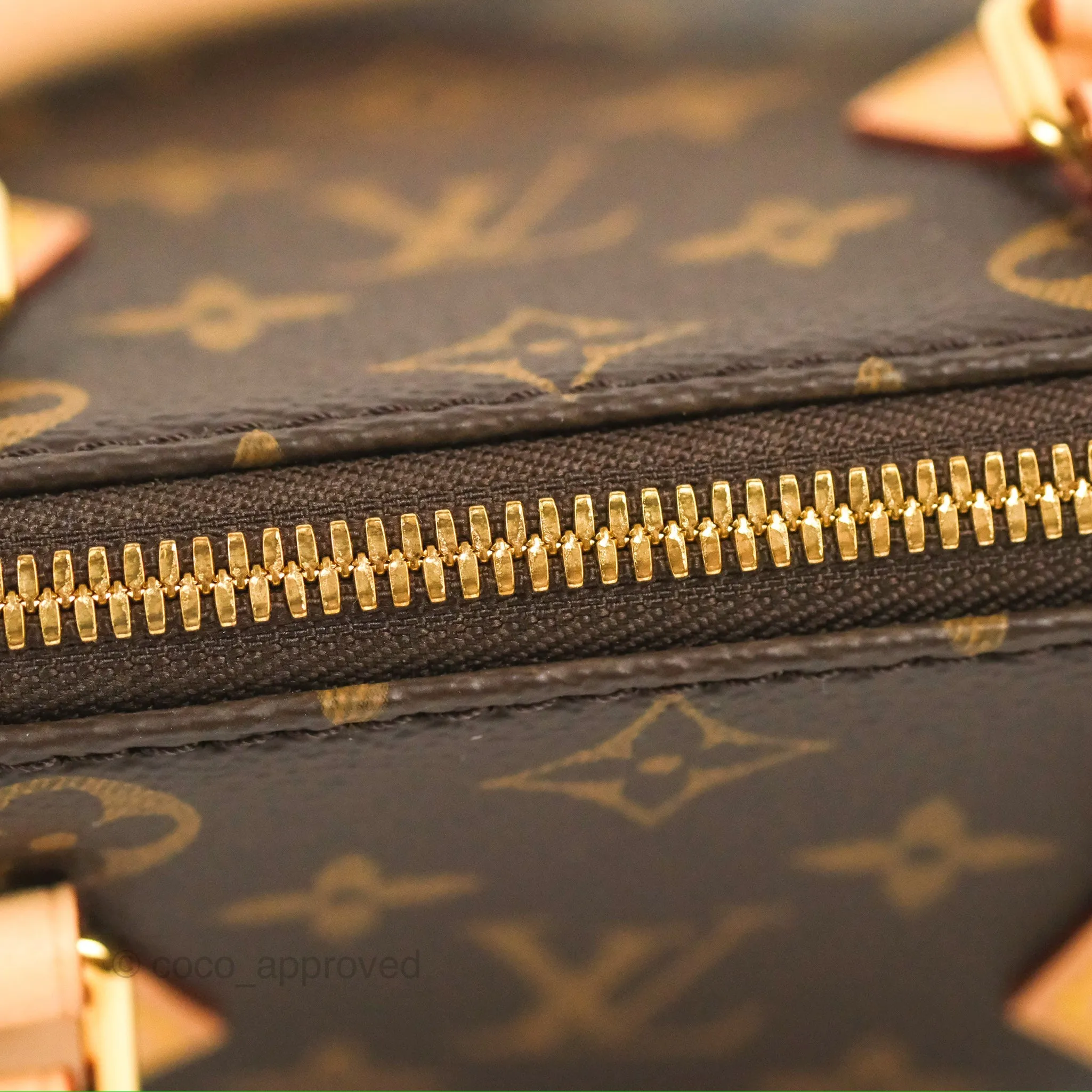 Louis Vuitton Speedy Bandoulire 20 Monogram
