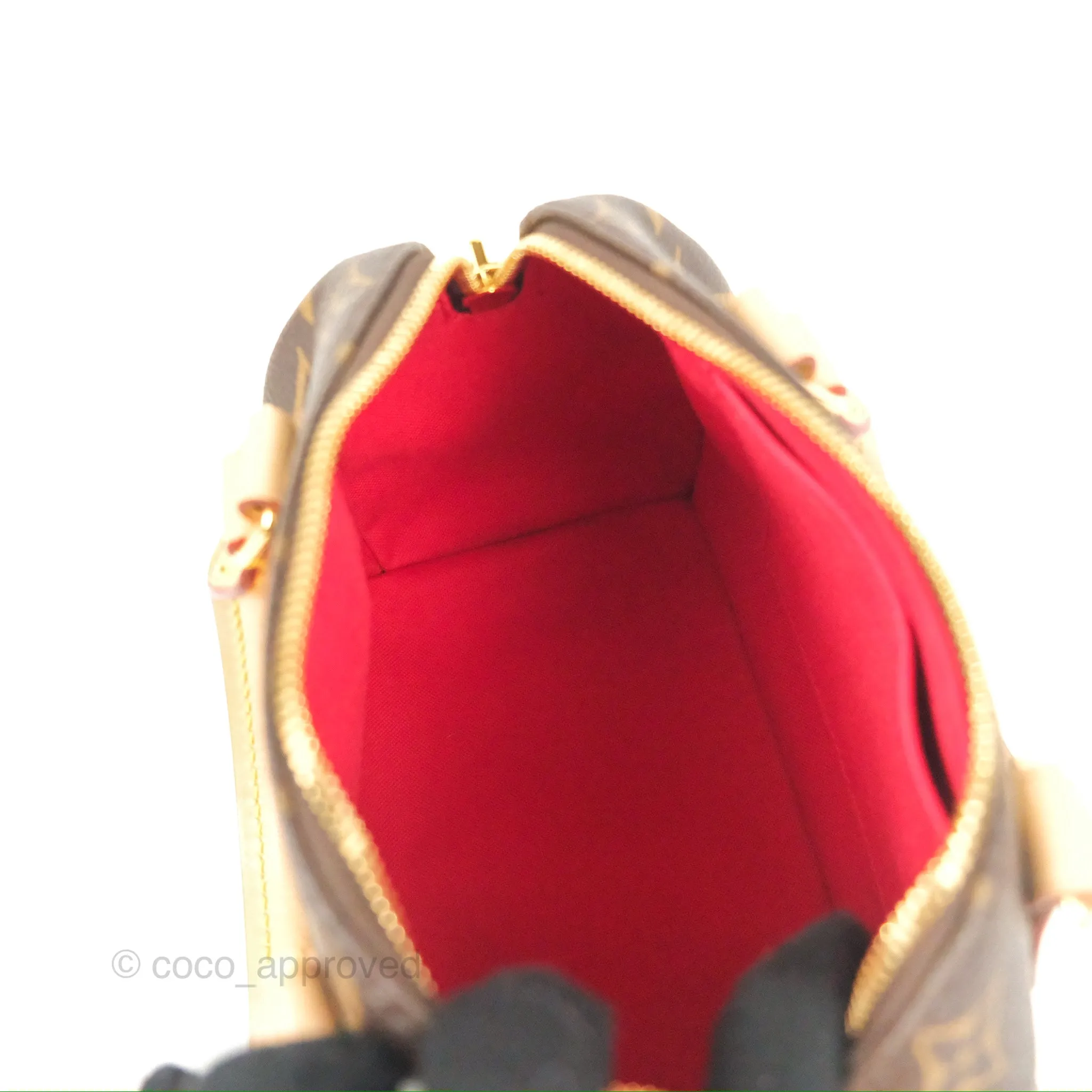 Louis Vuitton Speedy Bandoulire 20 Monogram