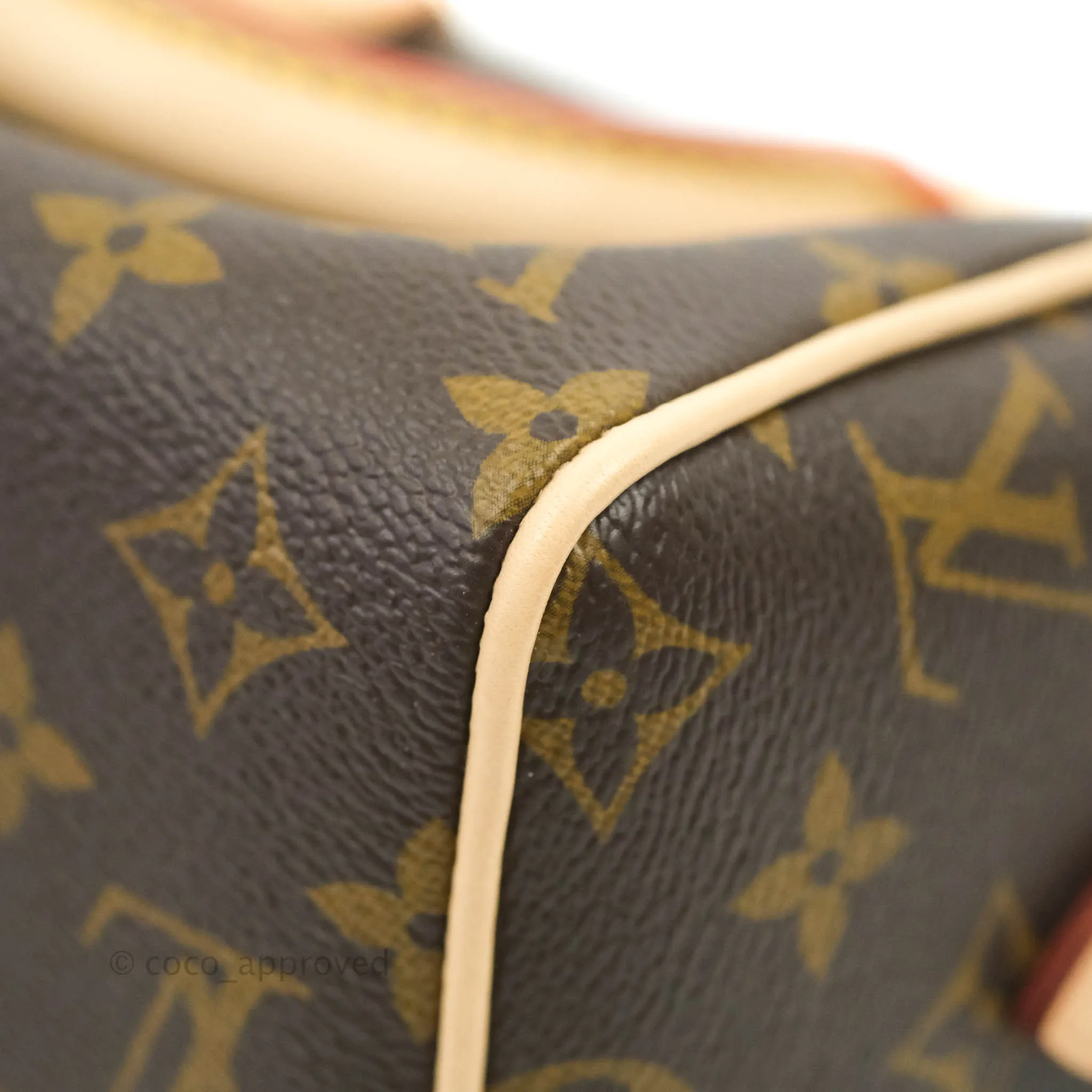 Louis Vuitton Speedy Bandoulire 20 Monogram