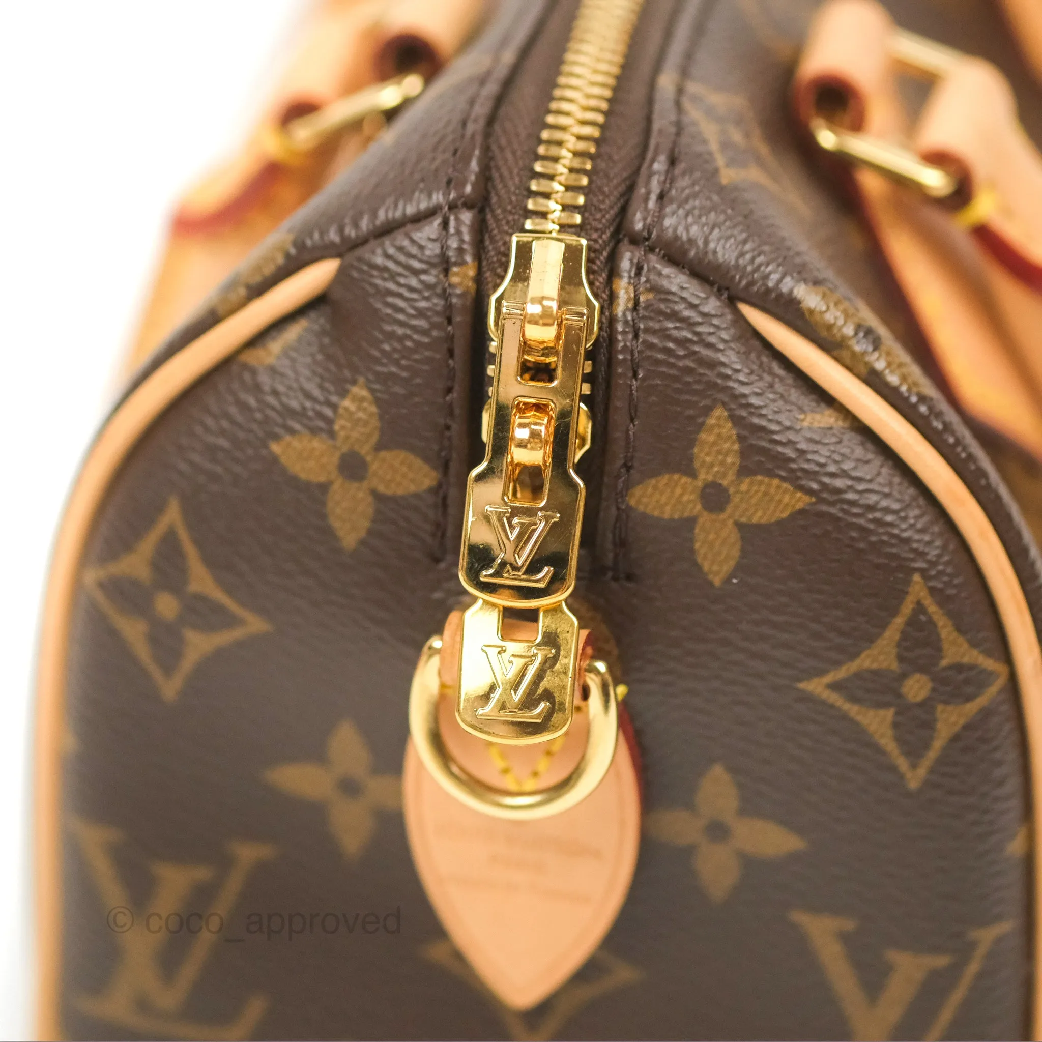Louis Vuitton Speedy Bandoulire 20 Monogram