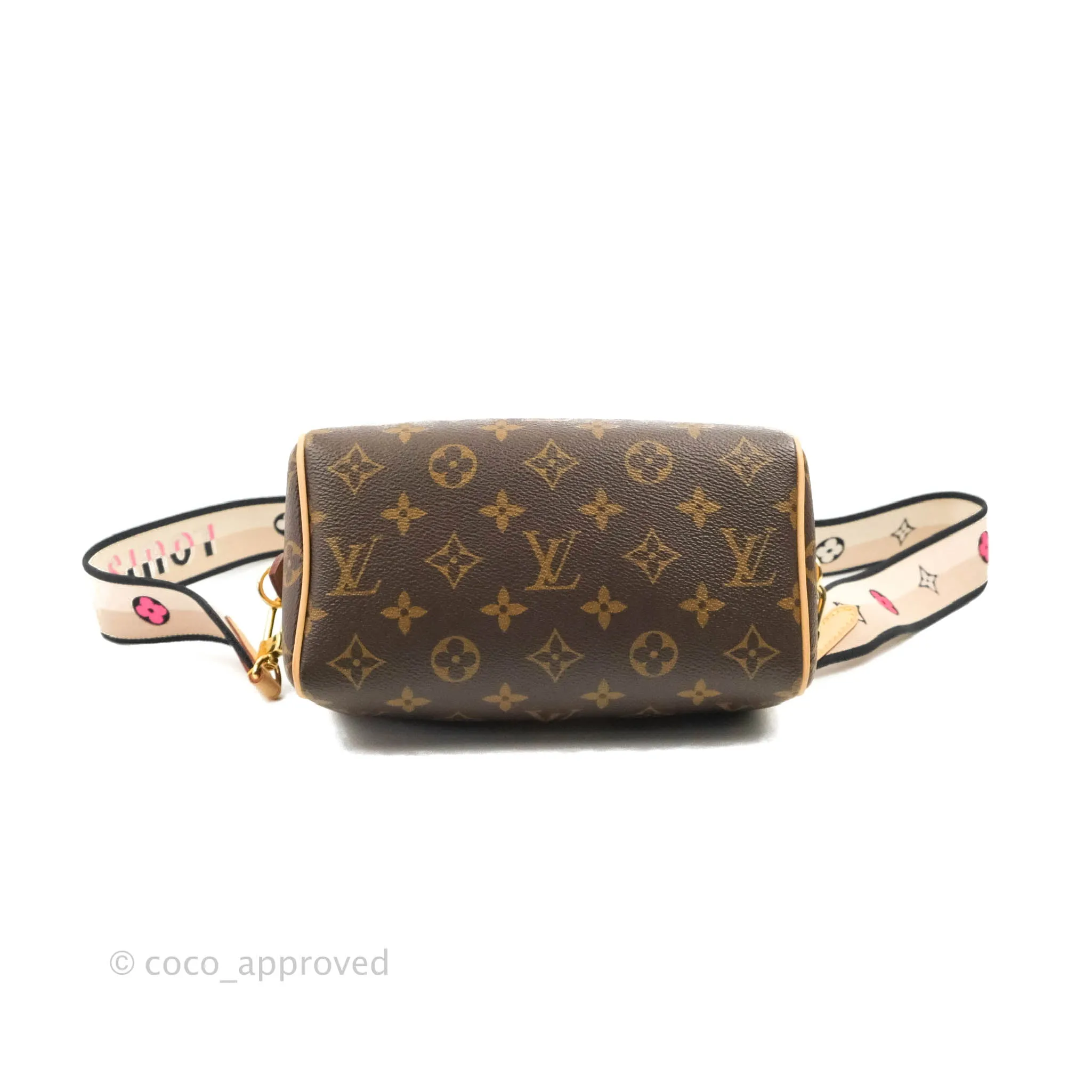 Louis Vuitton Speedy Bandoulire 20 Monogram