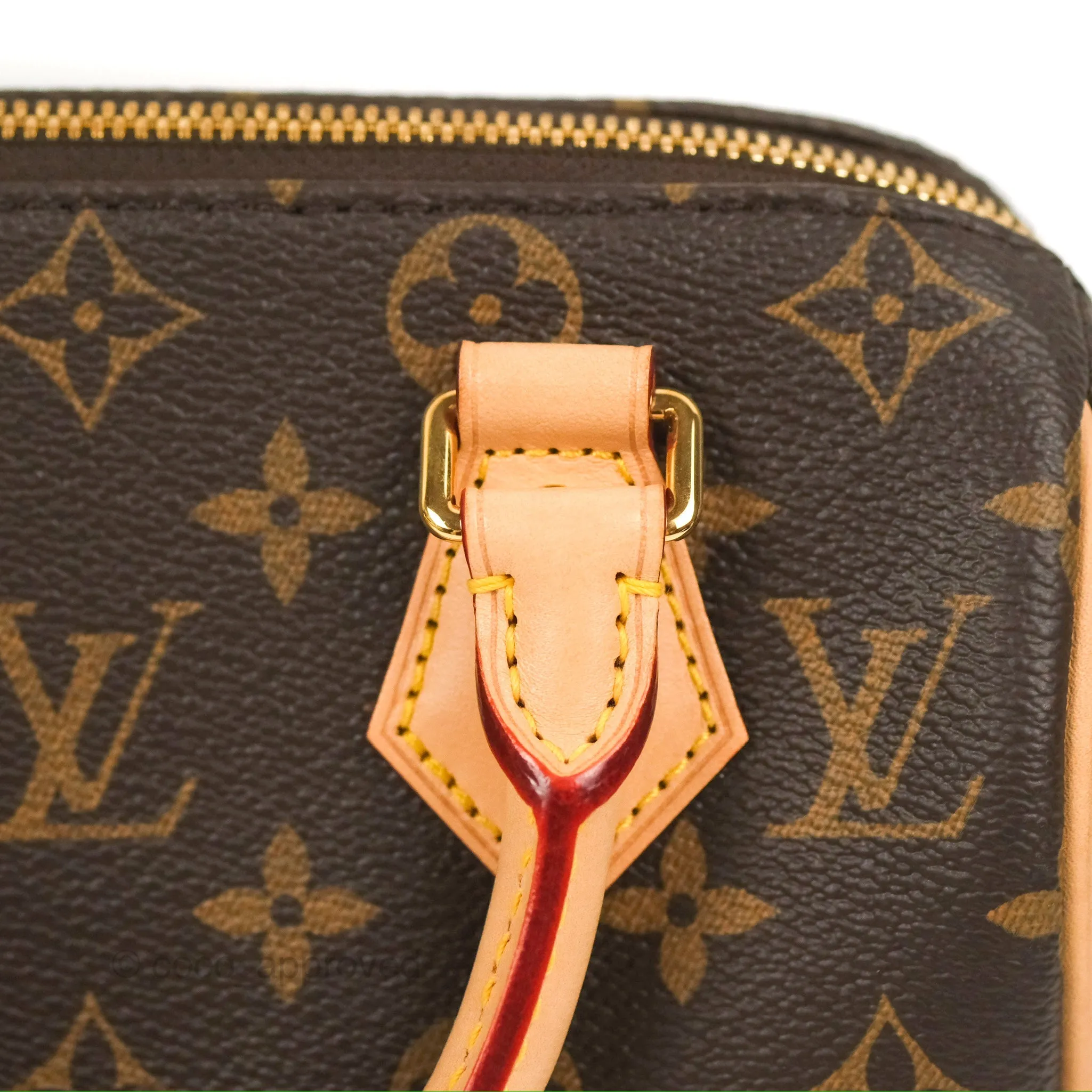 Louis Vuitton Speedy Bandoulire 20 Monogram