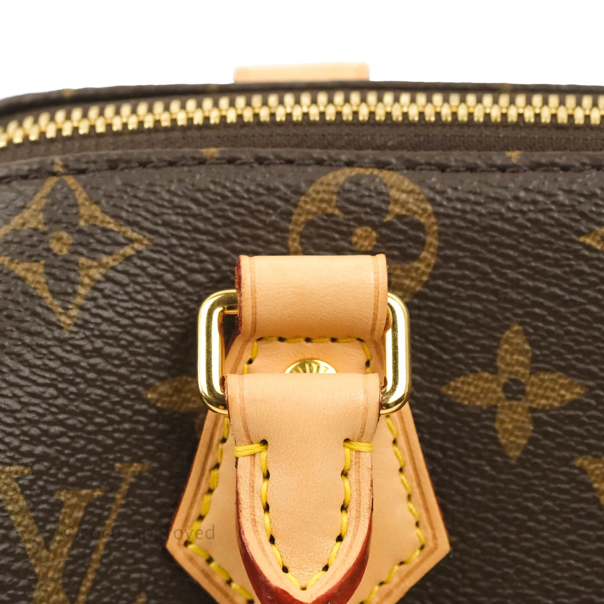 Louis Vuitton Speedy Bandoulire 20 Monogram