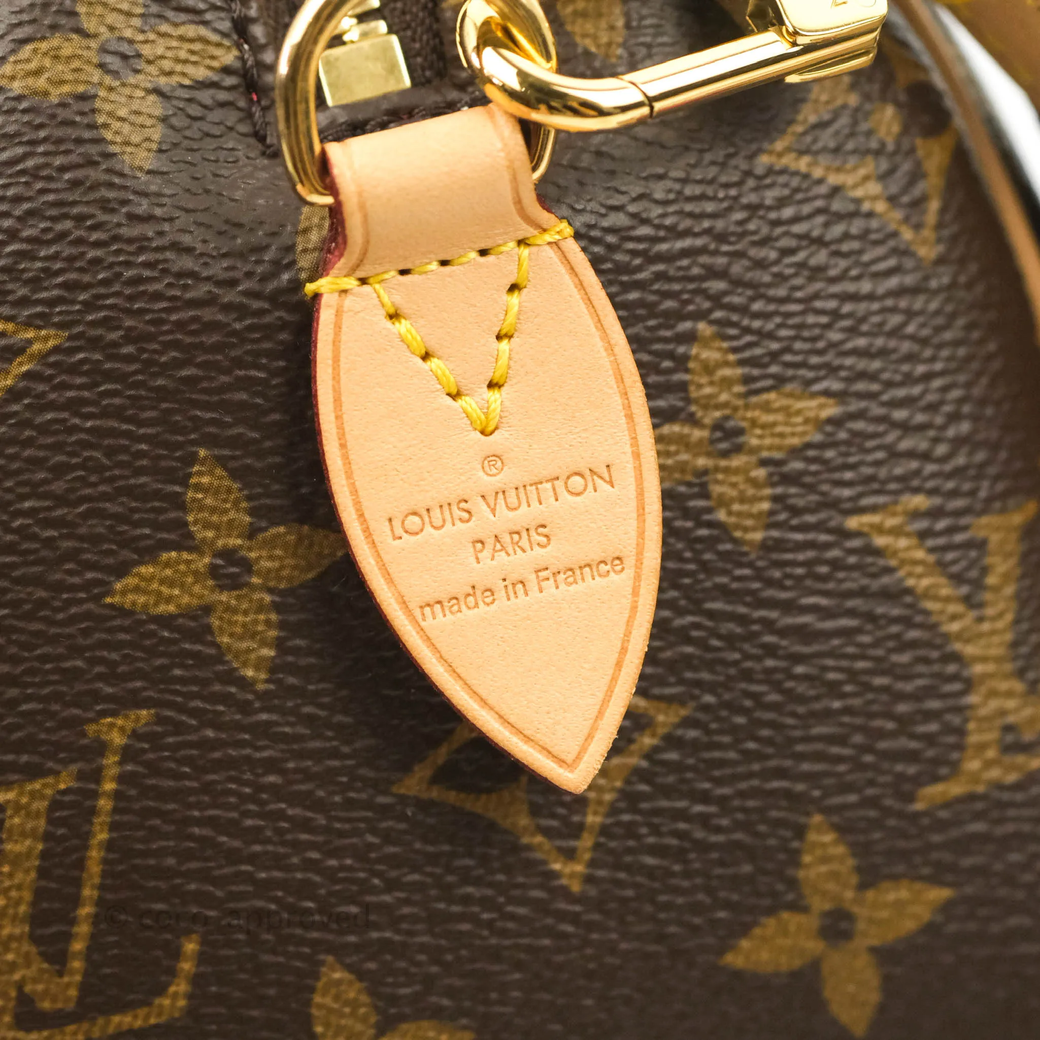 Louis Vuitton Speedy Bandoulire 20 Monogram
