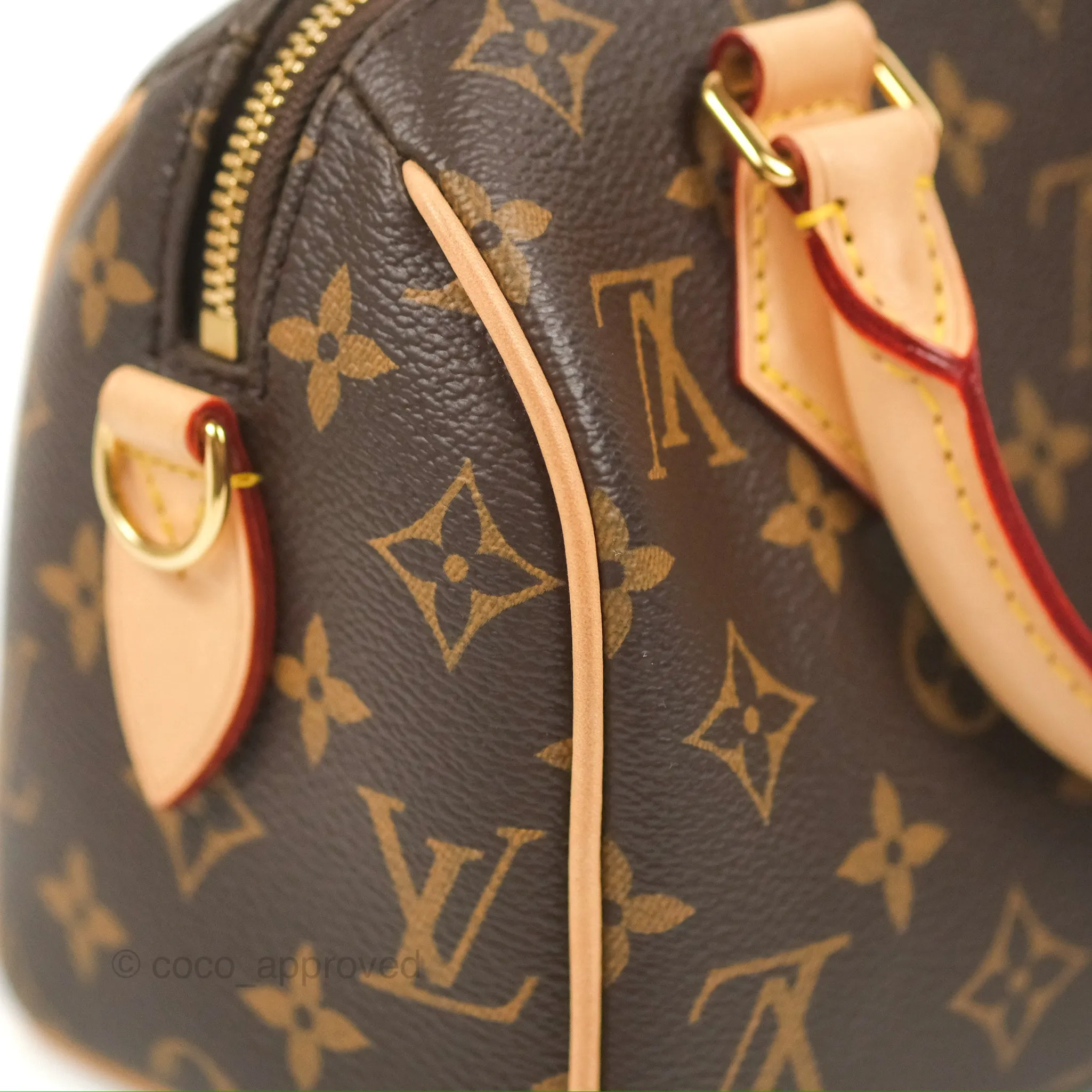Louis Vuitton Speedy Bandoulire 20 Monogram