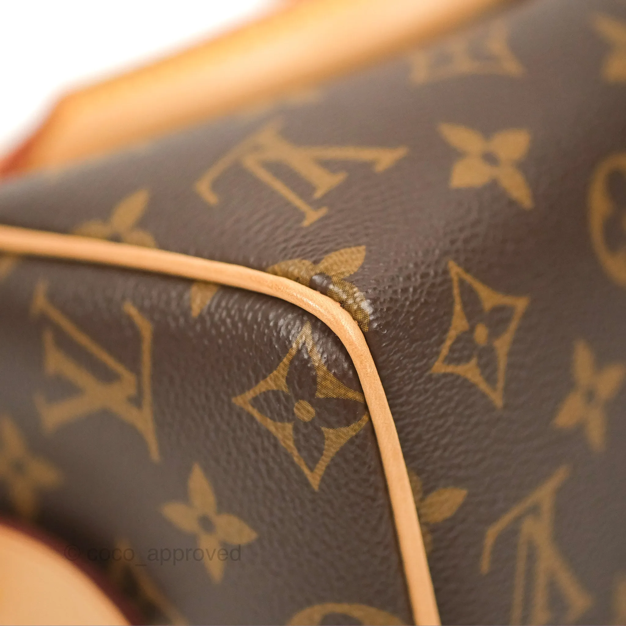 Louis Vuitton Speedy Bandoulire 20 Monogram