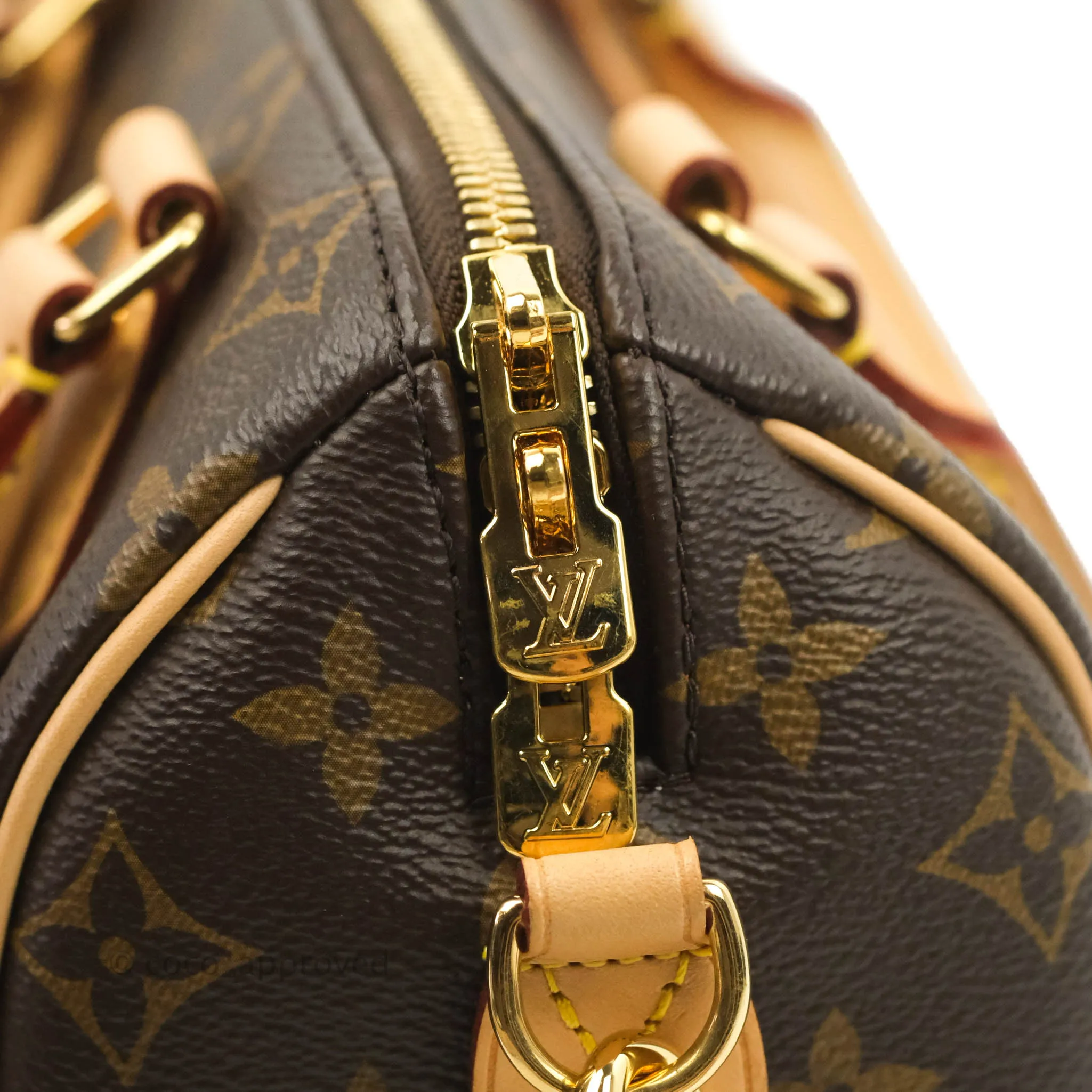 Louis Vuitton Speedy Bandoulire 20 Monogram