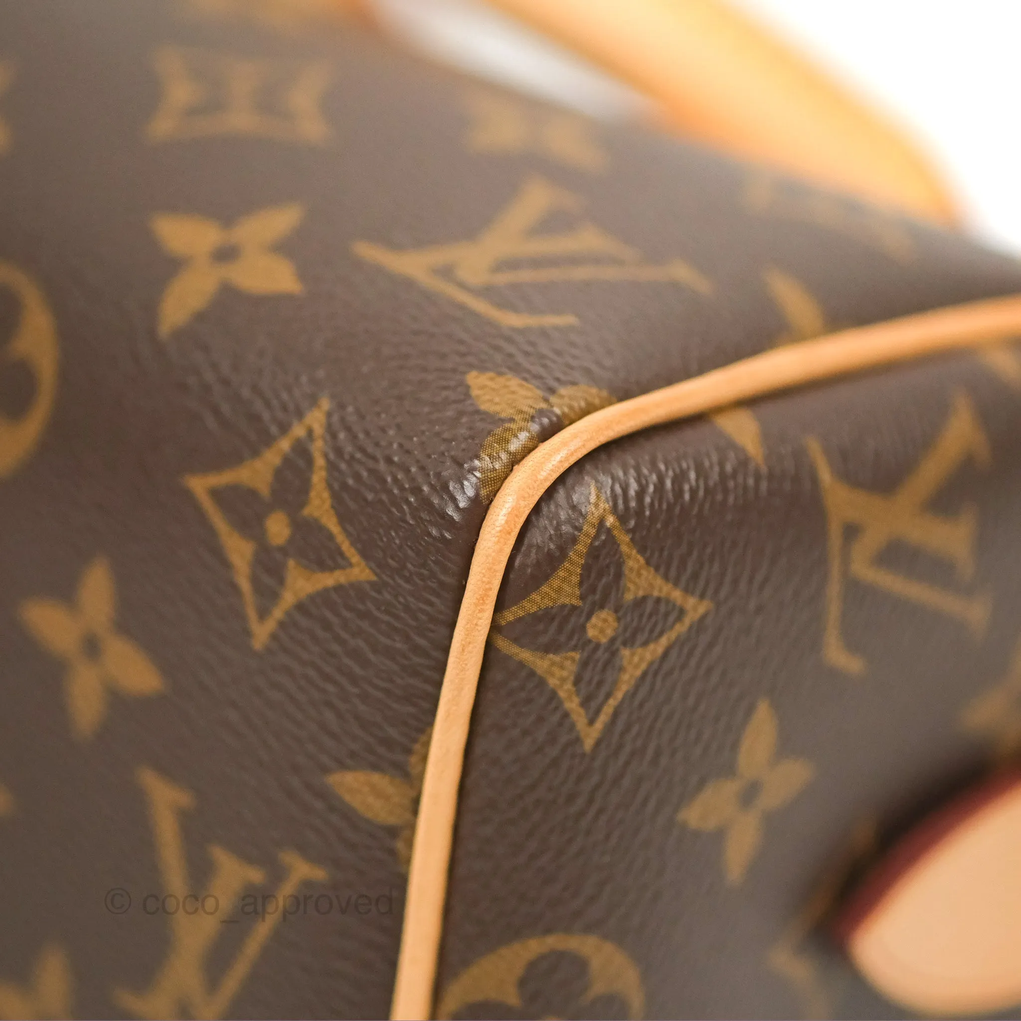 Louis Vuitton Speedy Bandoulire 20 Monogram