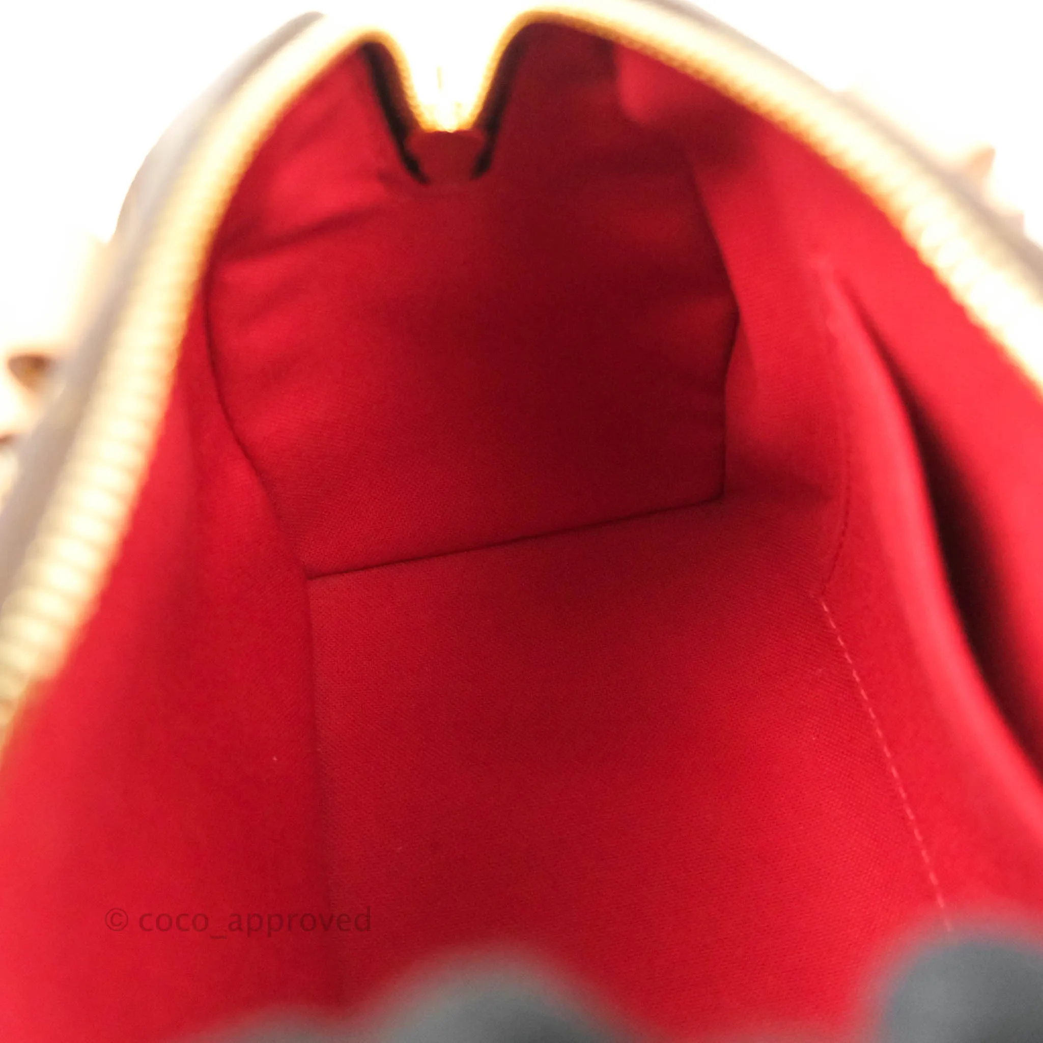 Louis Vuitton Speedy Bandoulire 20 Monogram