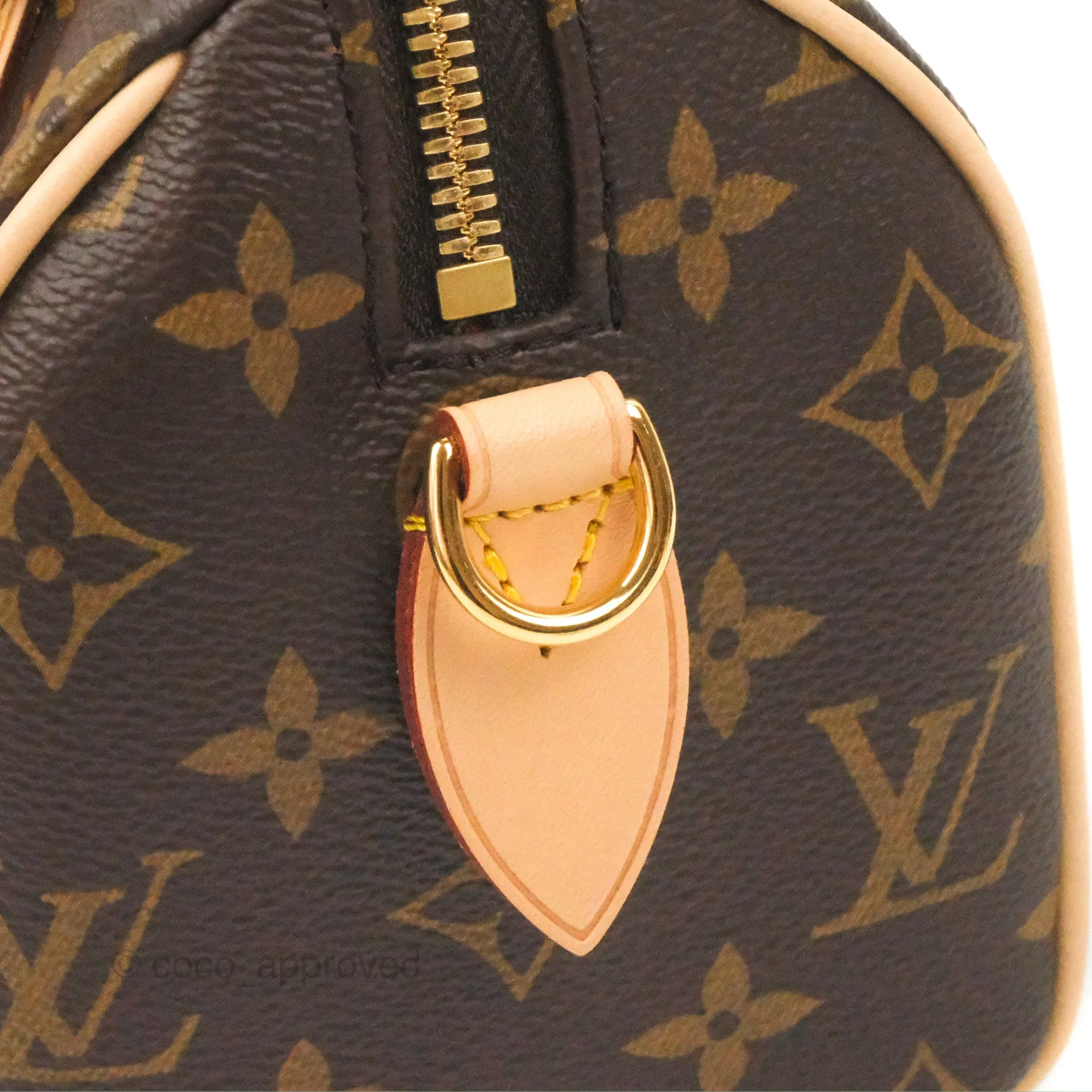 Louis Vuitton Speedy Bandoulire 20 Monogram