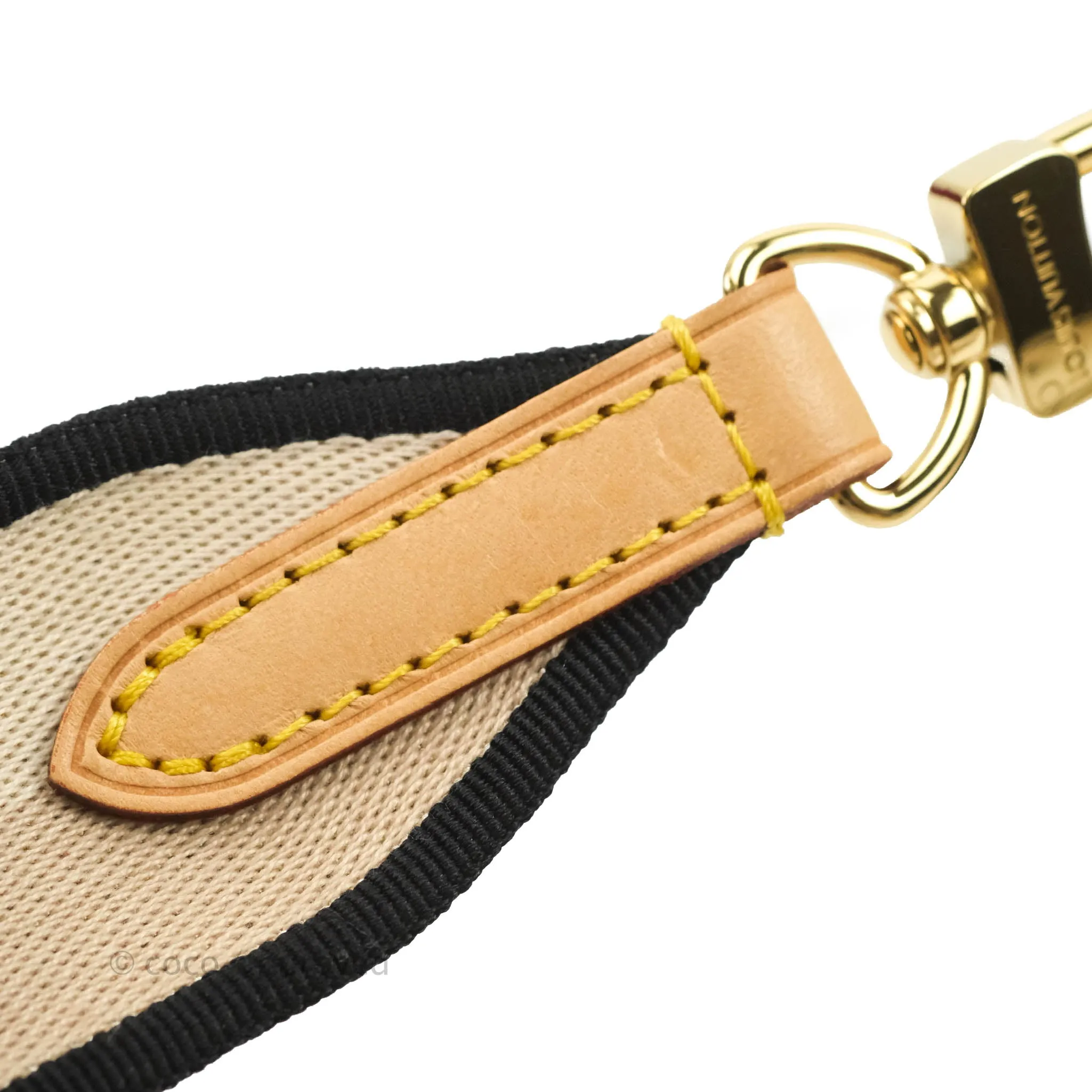 Louis Vuitton Speedy Bandoulire 20 Monogram