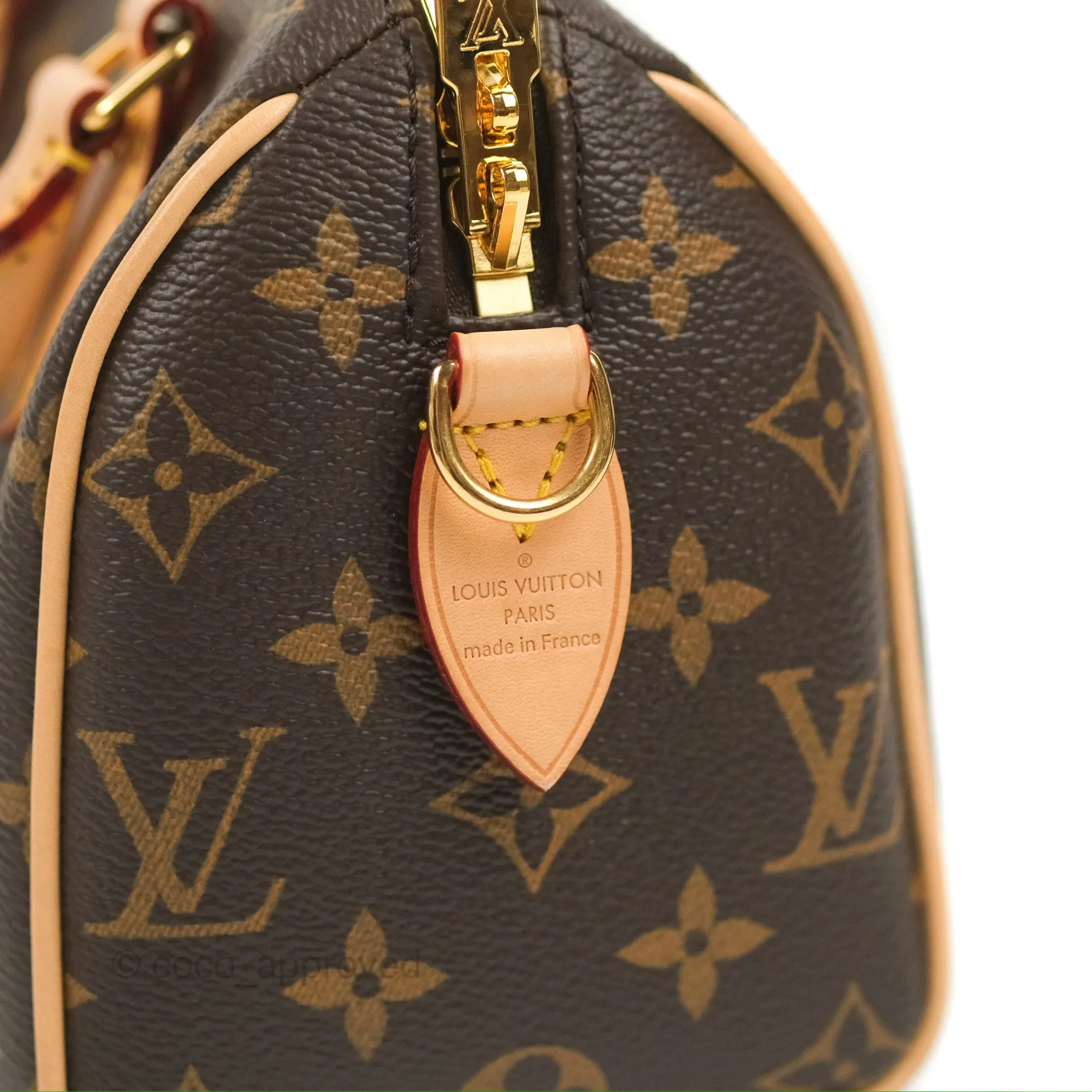 Louis Vuitton Speedy Bandoulire 20 Monogram