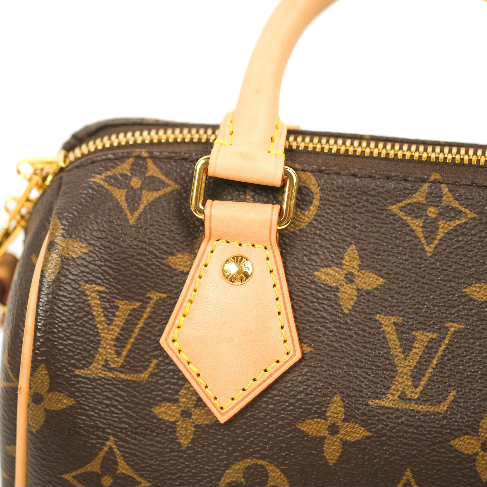 Louis Vuitton Speedy Bandoulire 20 Monogram