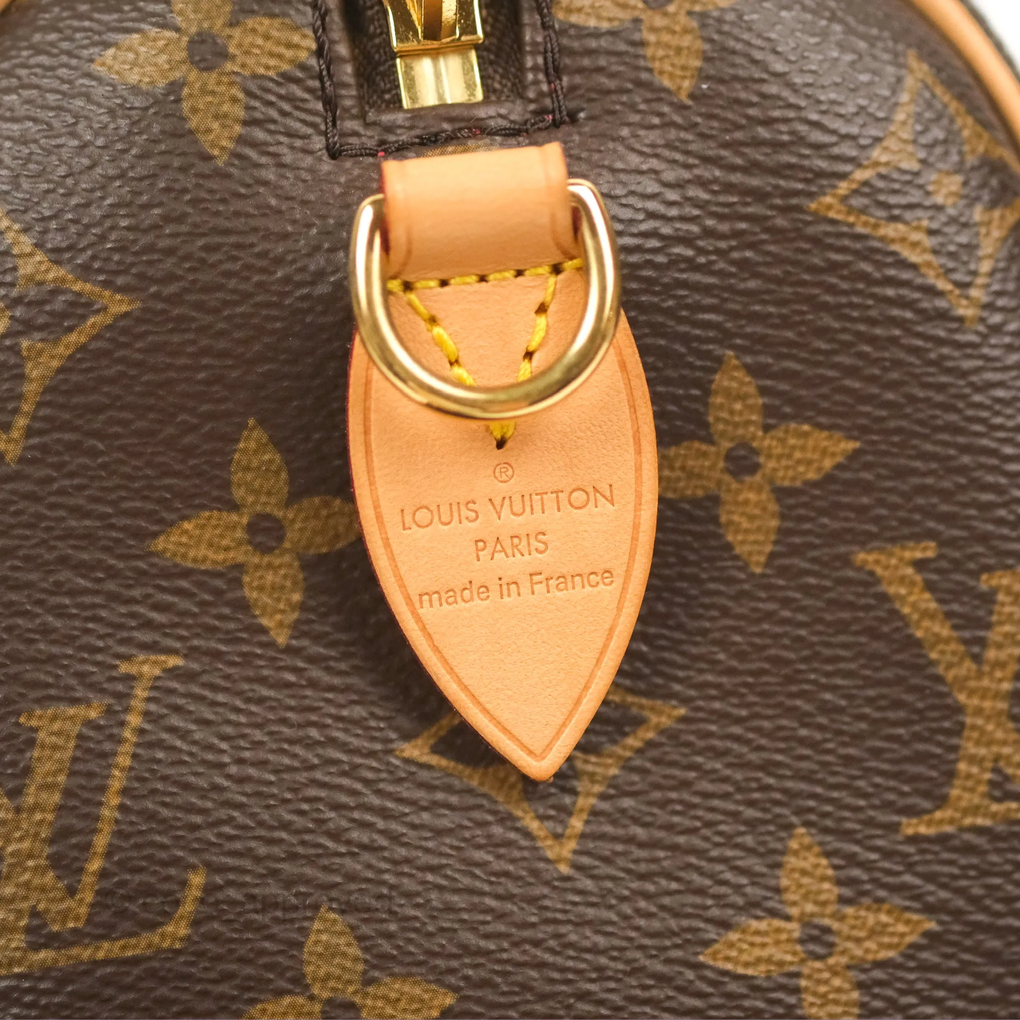 Louis Vuitton Speedy Bandoulire 20 Monogram