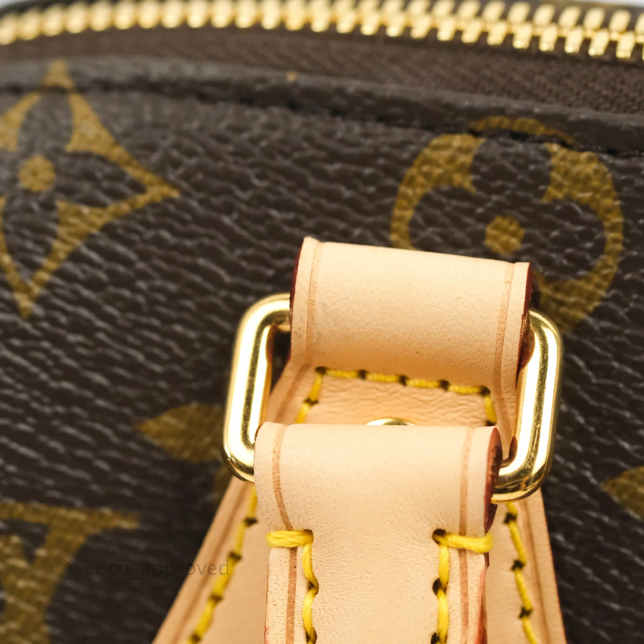 Louis Vuitton Speedy Bandoulire 20 Monogram