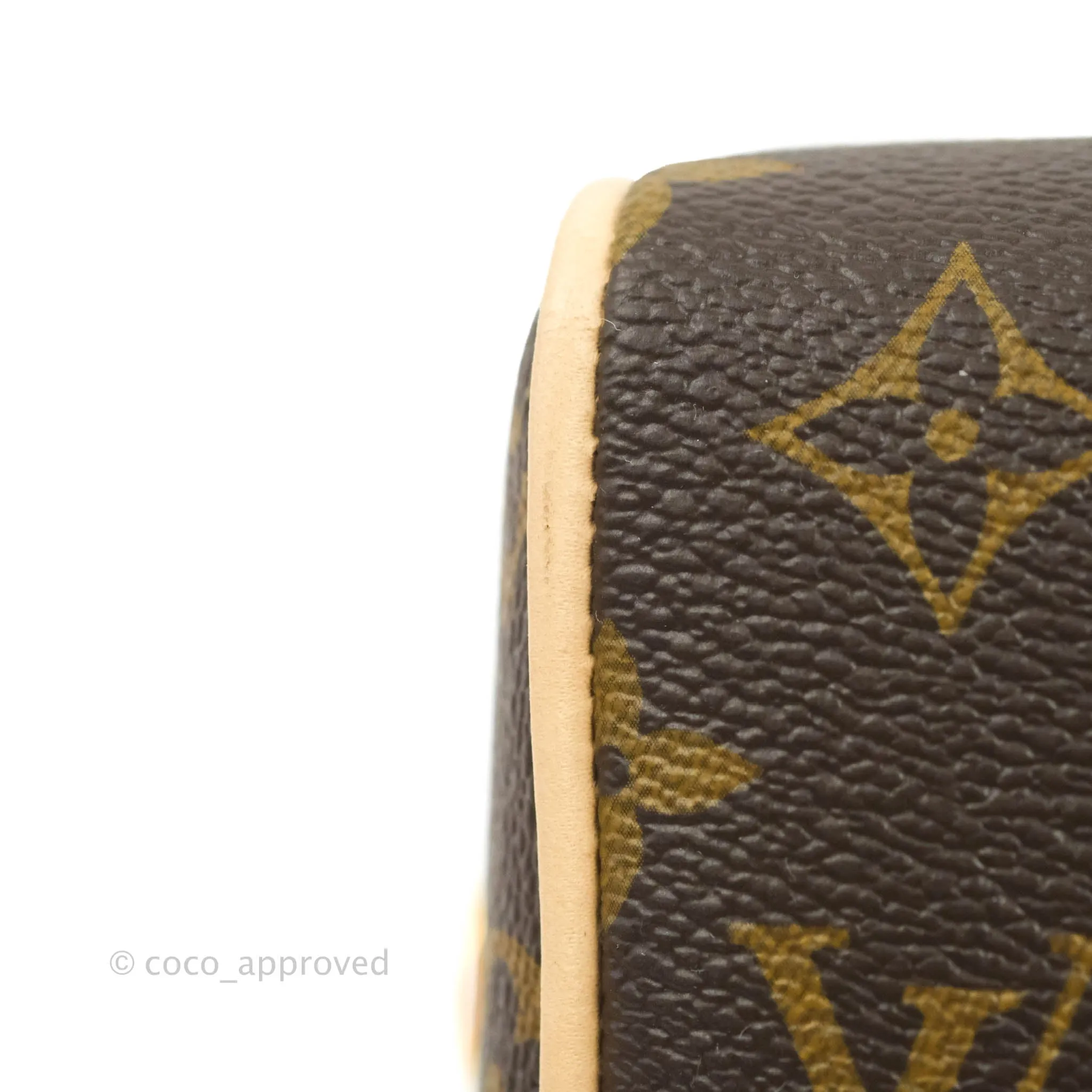 Louis Vuitton Speedy Bandoulire 20 Monogram