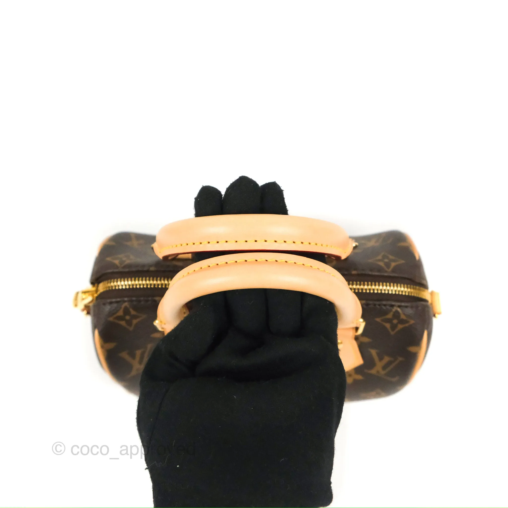 Louis Vuitton Speedy Bandoulire 20 Monogram
