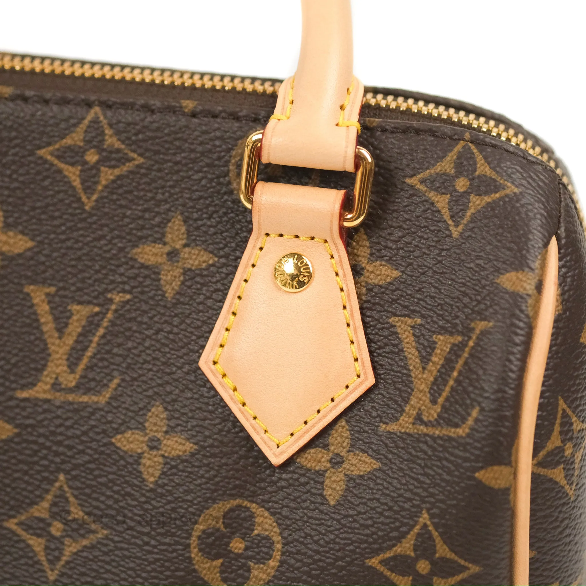 Louis Vuitton Speedy Bandoulire 20 Monogram
