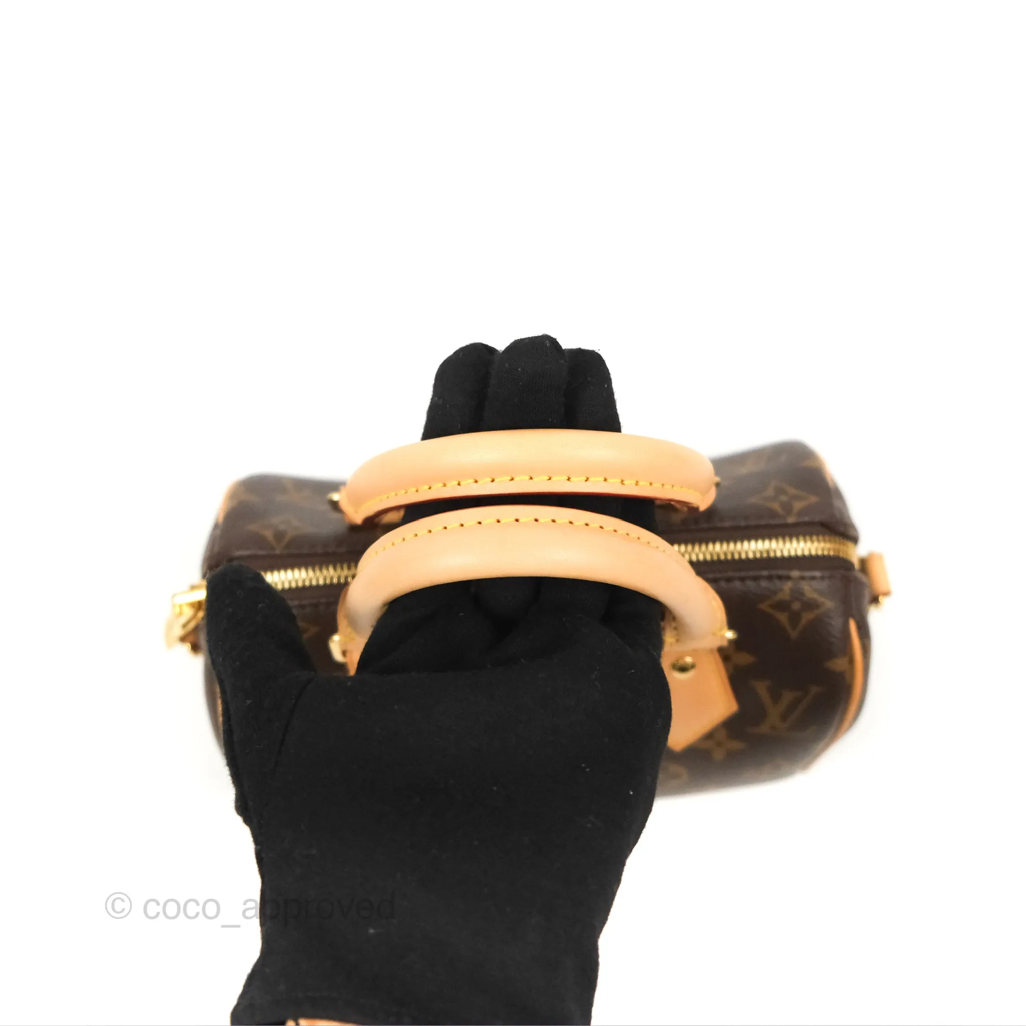 Louis Vuitton Speedy Bandoulire 20 Monogram