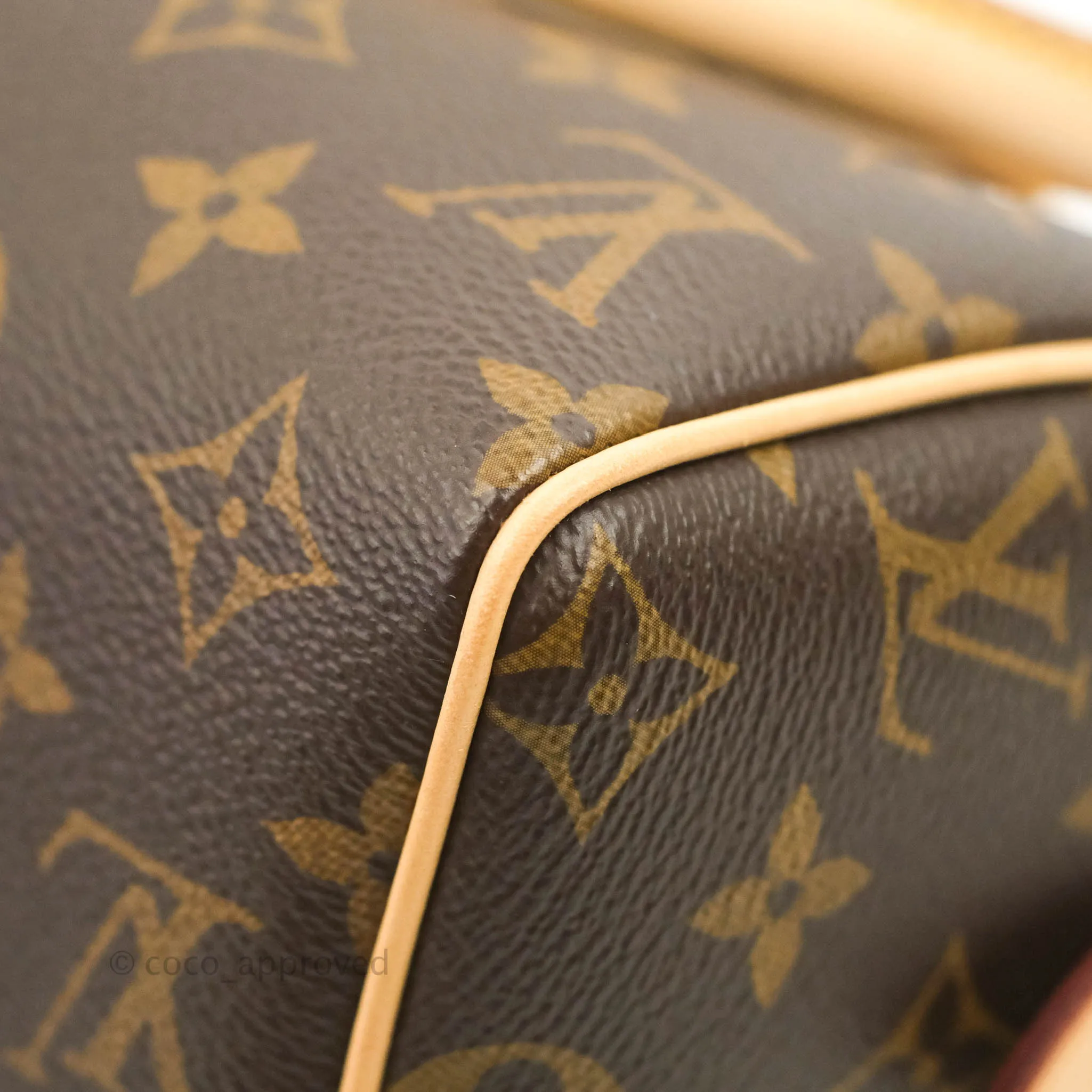 Louis Vuitton Speedy Bandoulire 20 Monogram